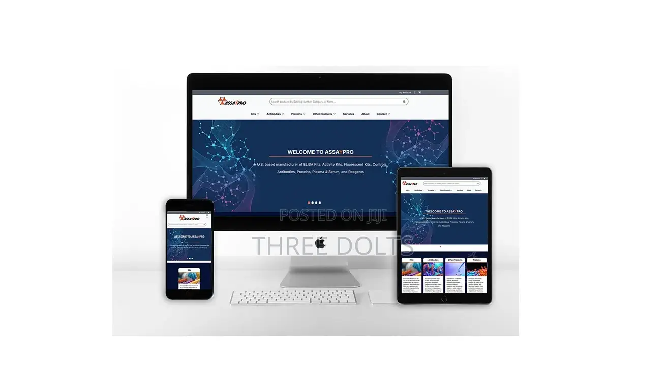 No Delays, No Surprises, No Jargon: Just Great Websites