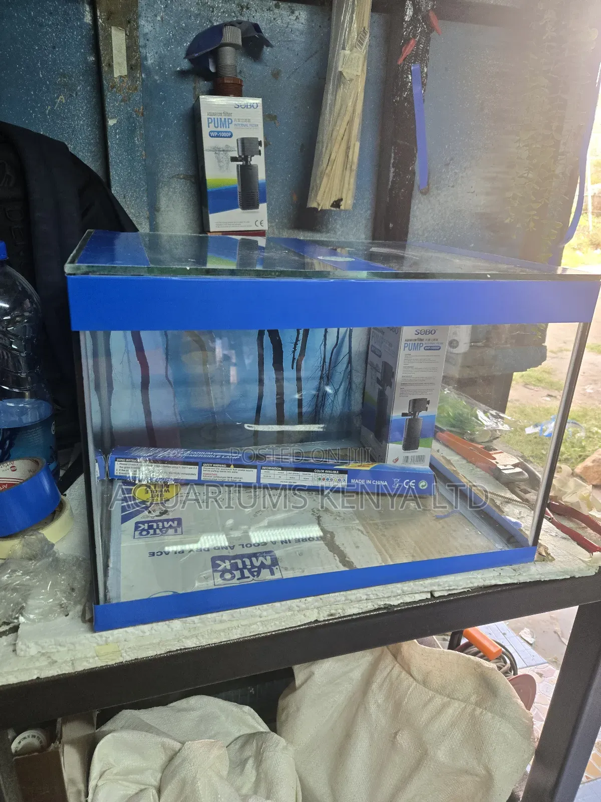 Blue Themed Aquarium