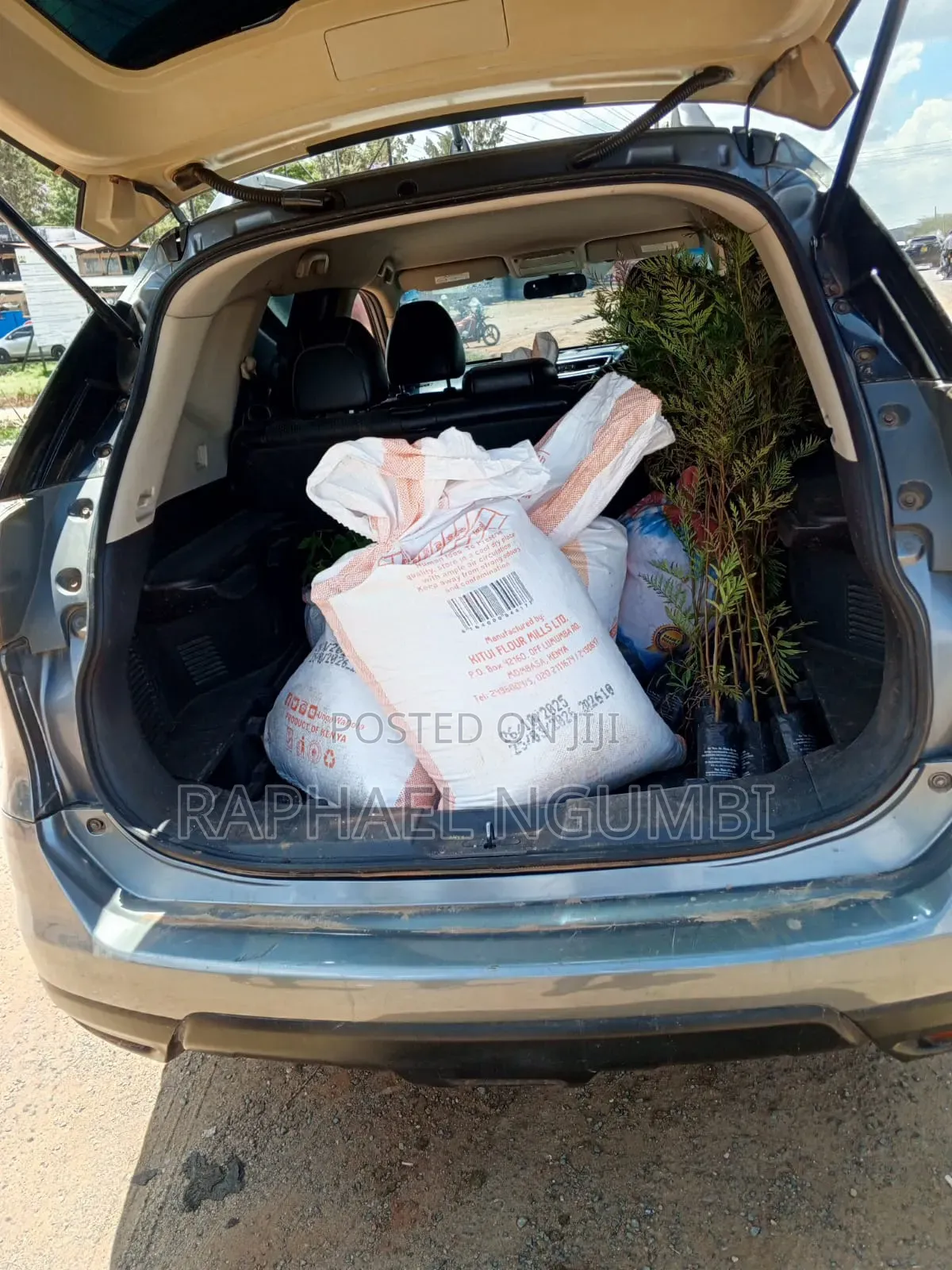 Nissan X-Trail 2013 Gray