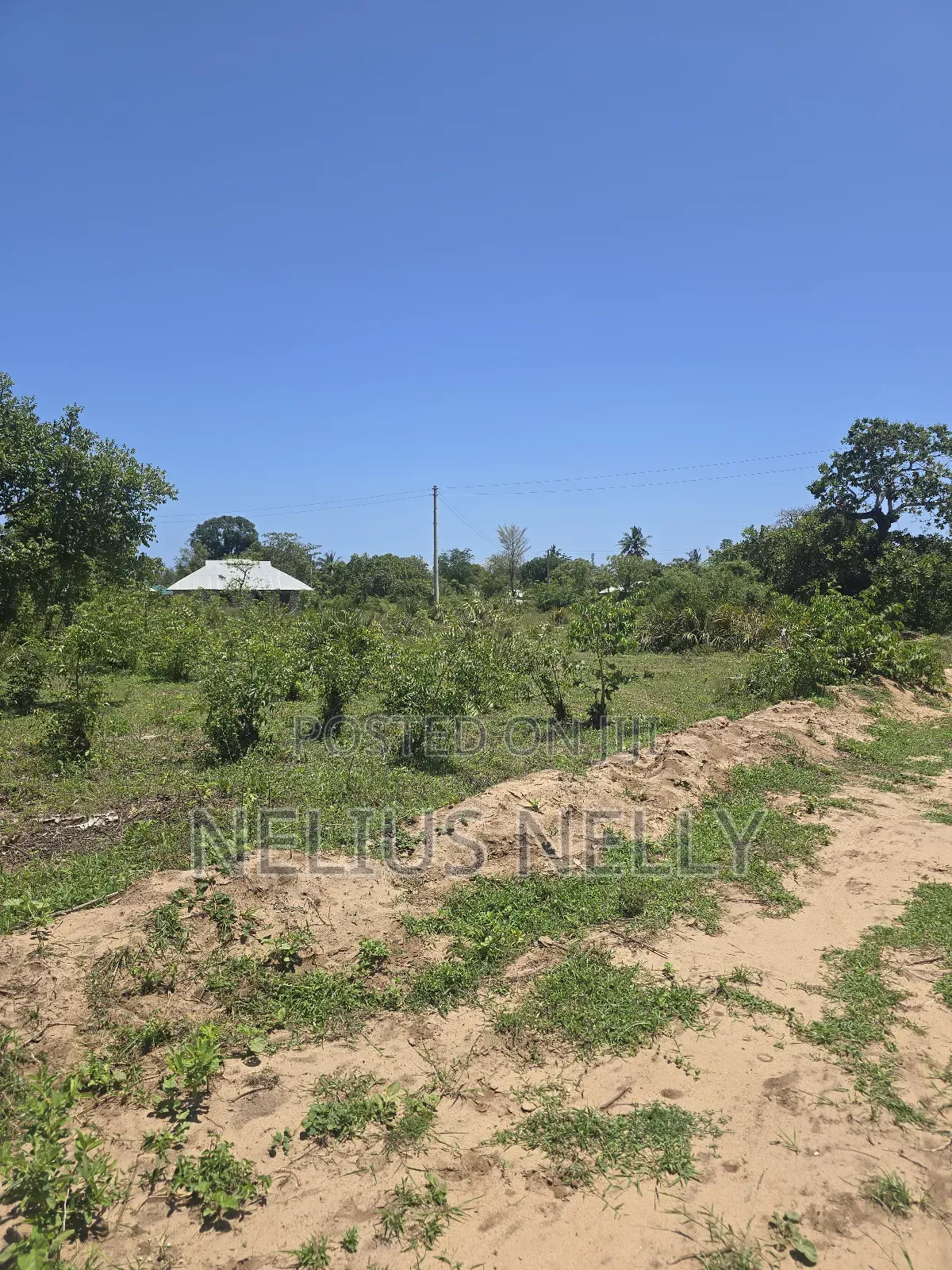 Plots for Sale Near Ndogo Kundu Bypass Ngombeni