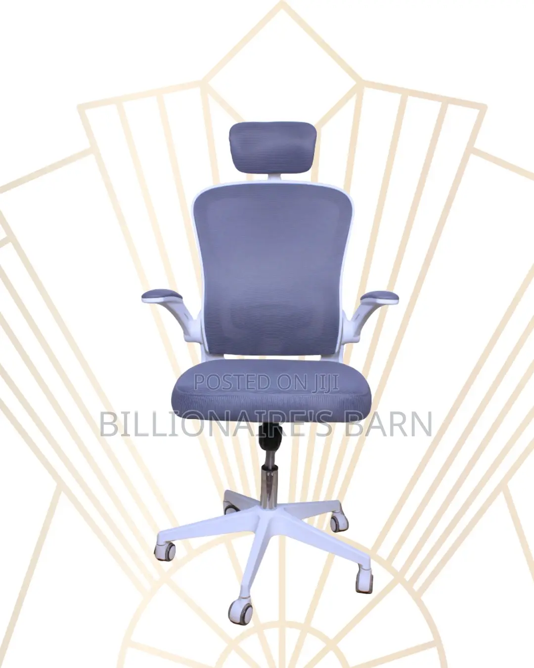 Premium Executive Ergonomic Frame Steel | Comfort Meets Style