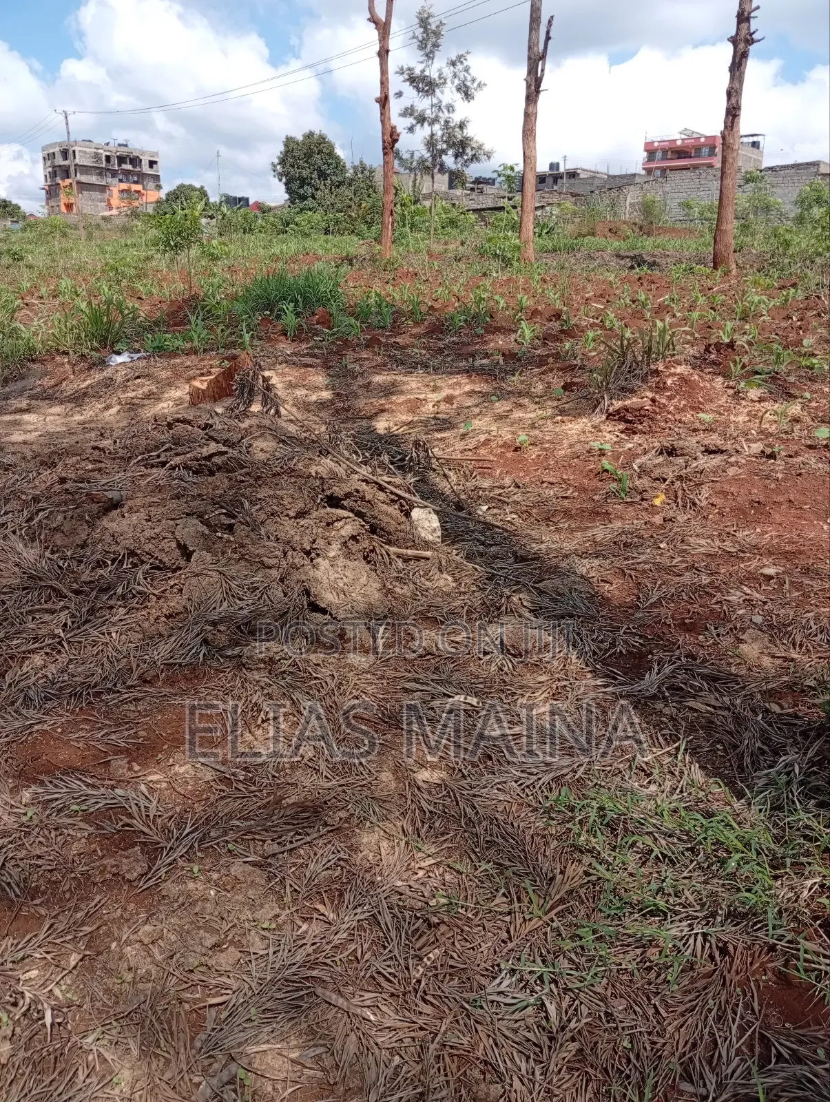 Plot for Sale in Ruiru