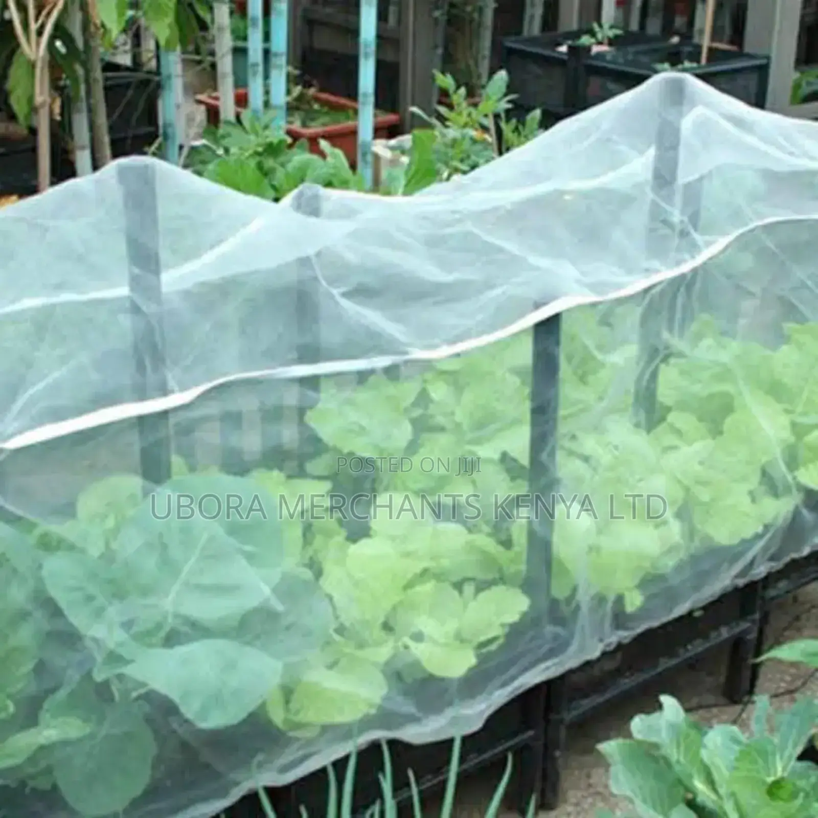 Anti-Insect Netting 3x50m