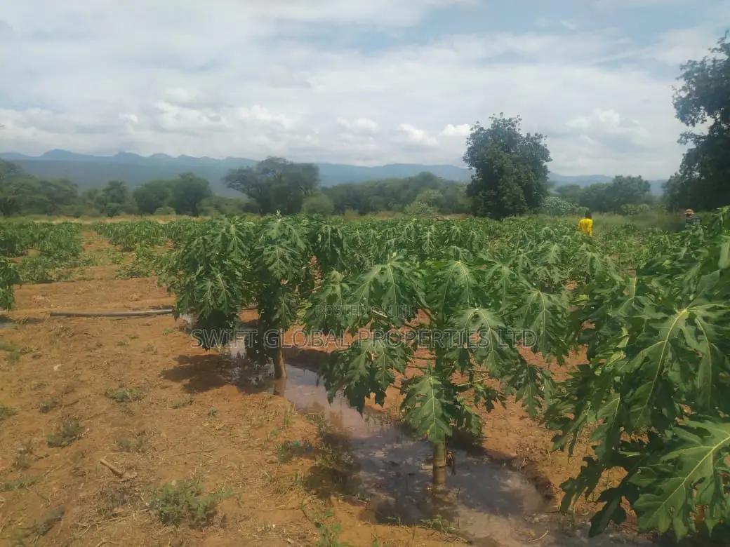 9000 Acres Is Available for Lease in Kajiado