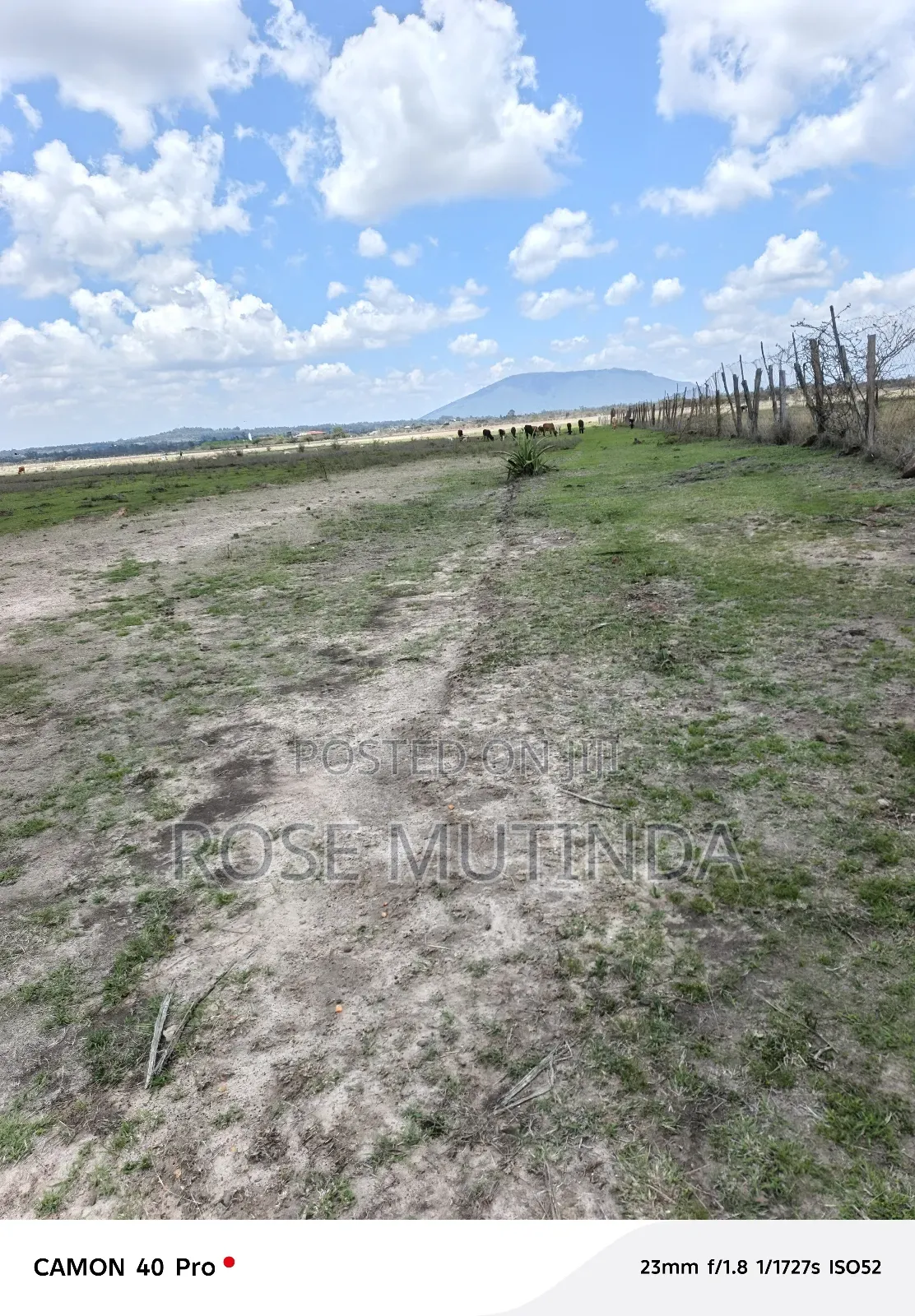 13 Acres at Nguluni