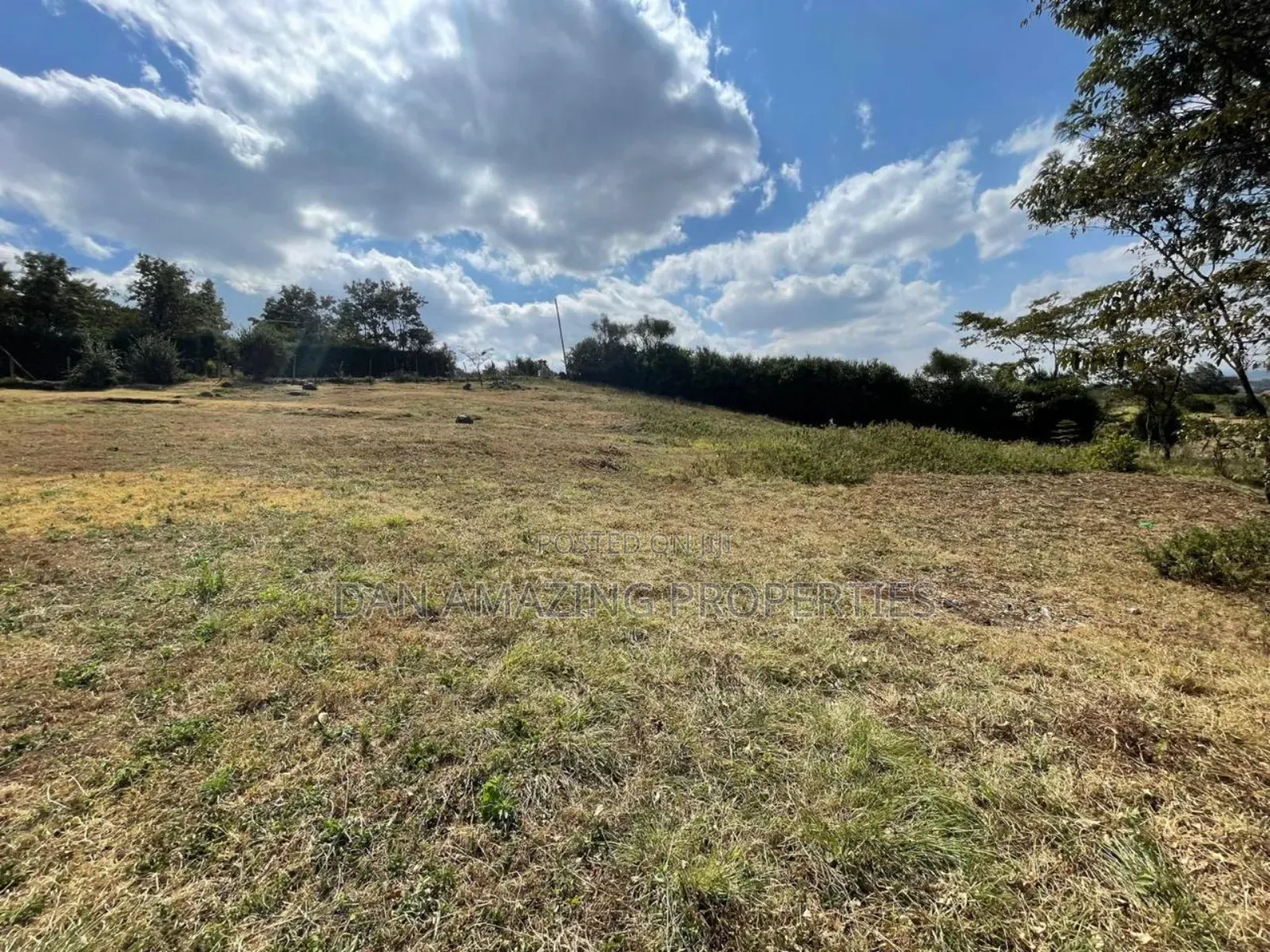 1/4 Plot in Ngong Kibiku for Sale Ideal for Residential Home