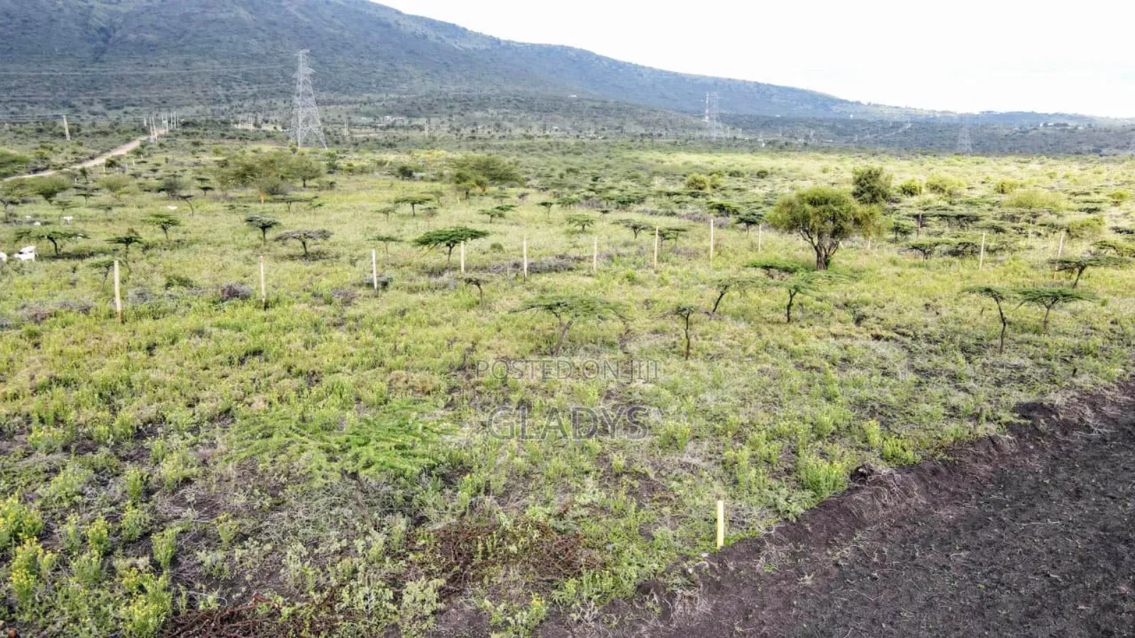 7acres of Land at Kisamis Each 2.9m