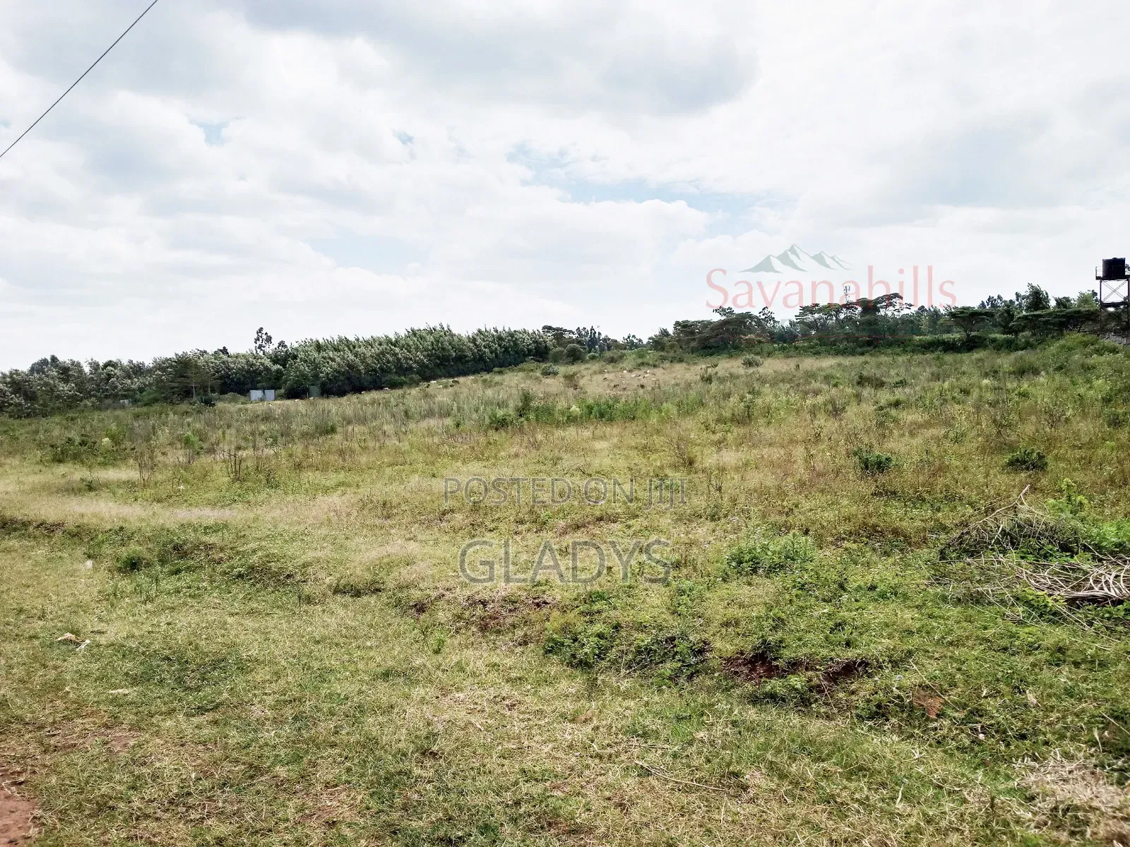 Kibiko 1.5acres for Sale Along Ole Montet Road