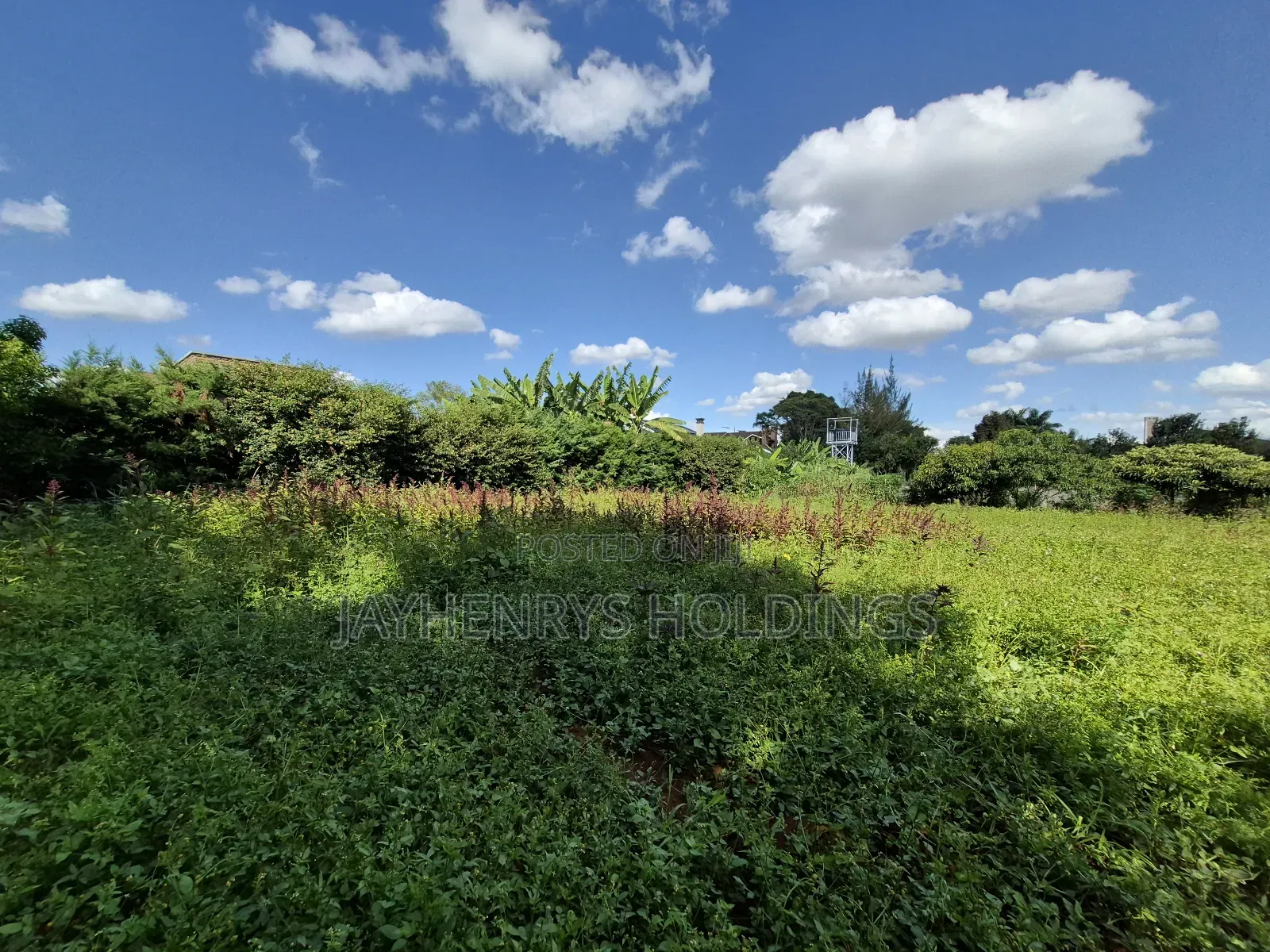 1/2 Acre Plot of Land for Sale Along Kiambu Rd