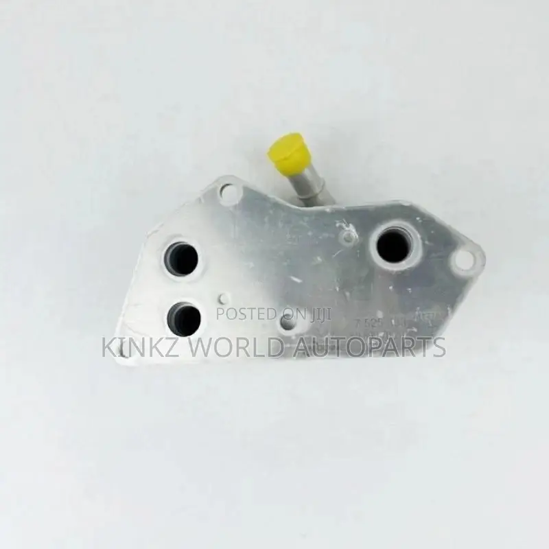 BMW F10,X1,X3,X5,X6,X4 Engine Oil Cooler