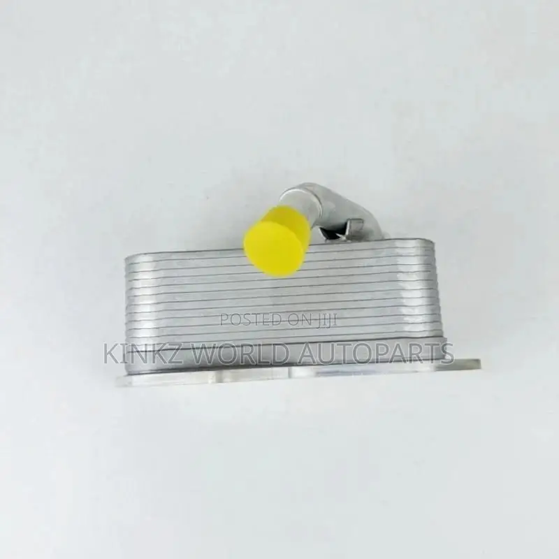 BMW F10,X1,X3,X5,X6,X4 Engine Oil Cooler