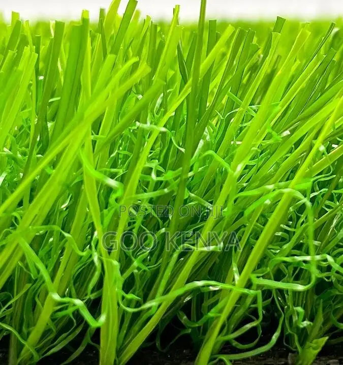 Home Carpet; High-Density Long-Lasting Synthetic Turf for Football Use