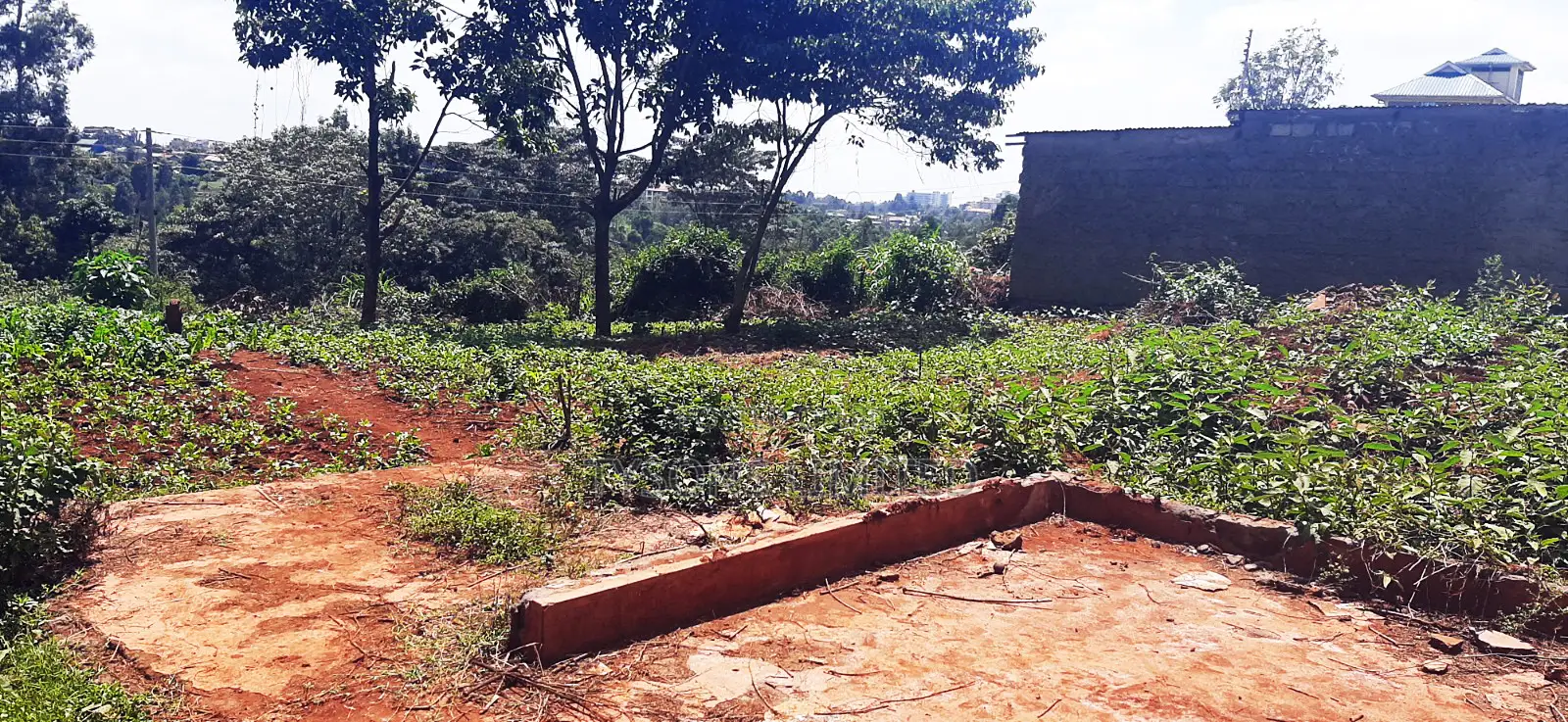 Plot for Sale at Gachie