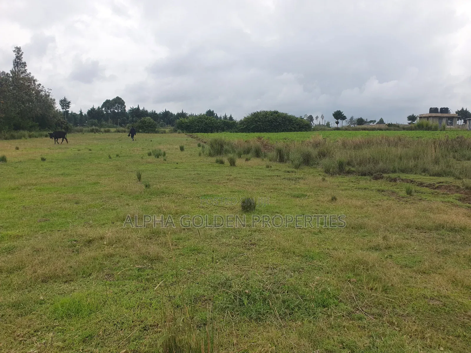 2 Acreas in Nanyuki [ Kwahuku ]