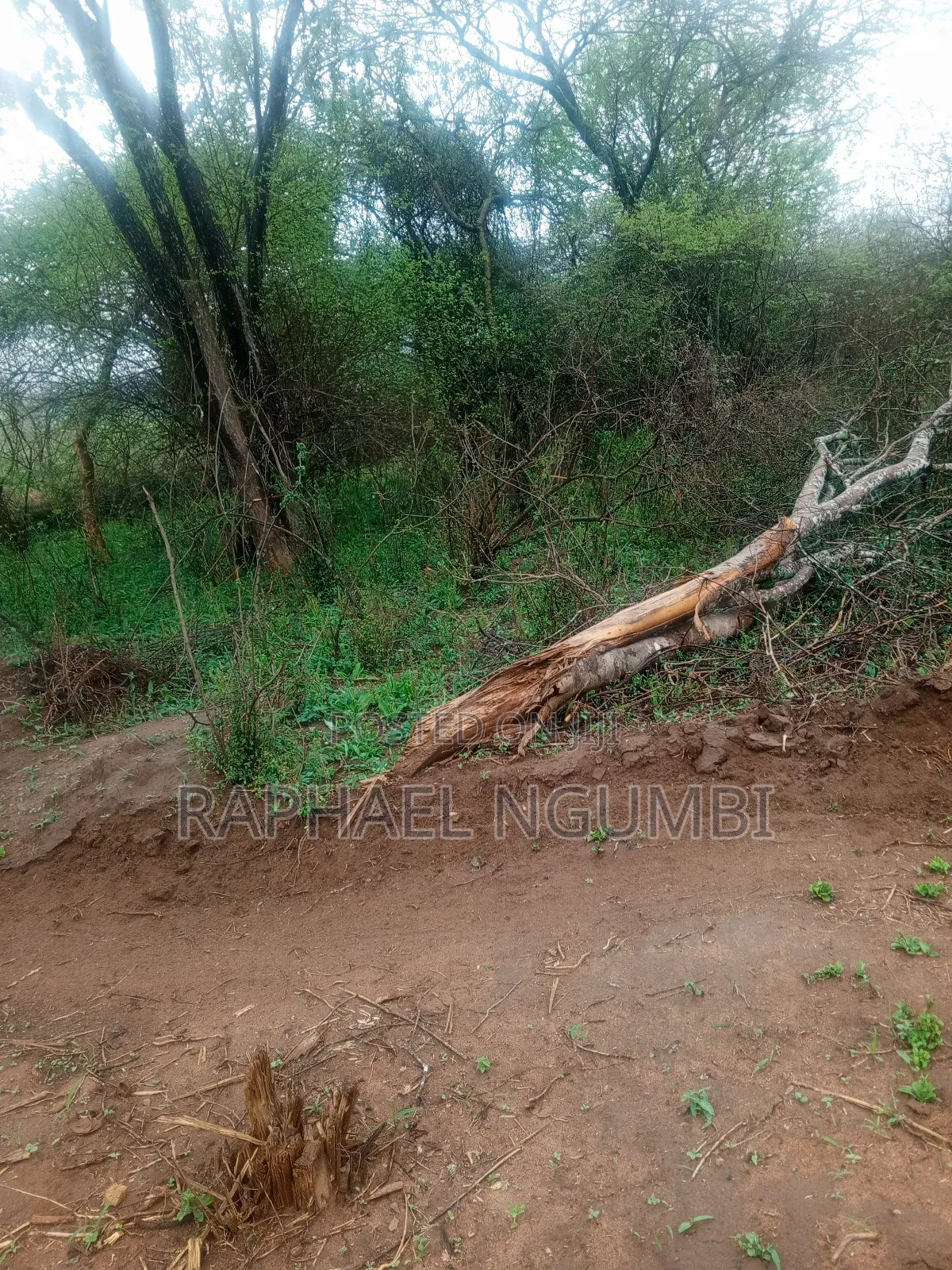 30 Acres Land for Sale at Machakos Wamunyu