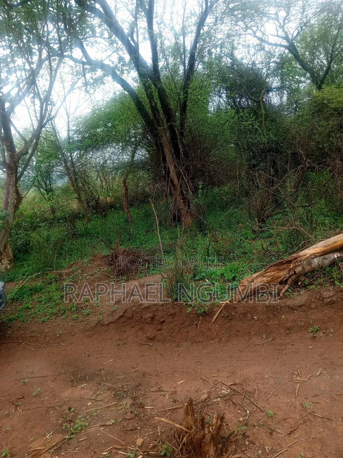 30 Acres Land for Sale at Machakos Wamunyu