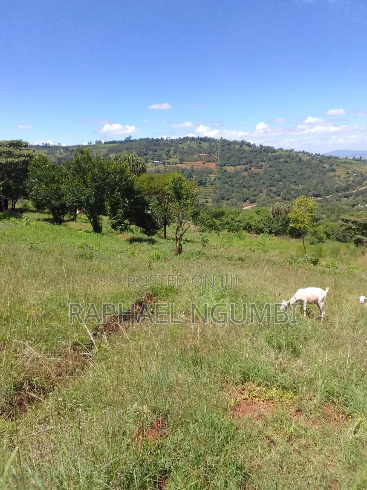Machakos Mua 2 Acres Near Sonko Farm