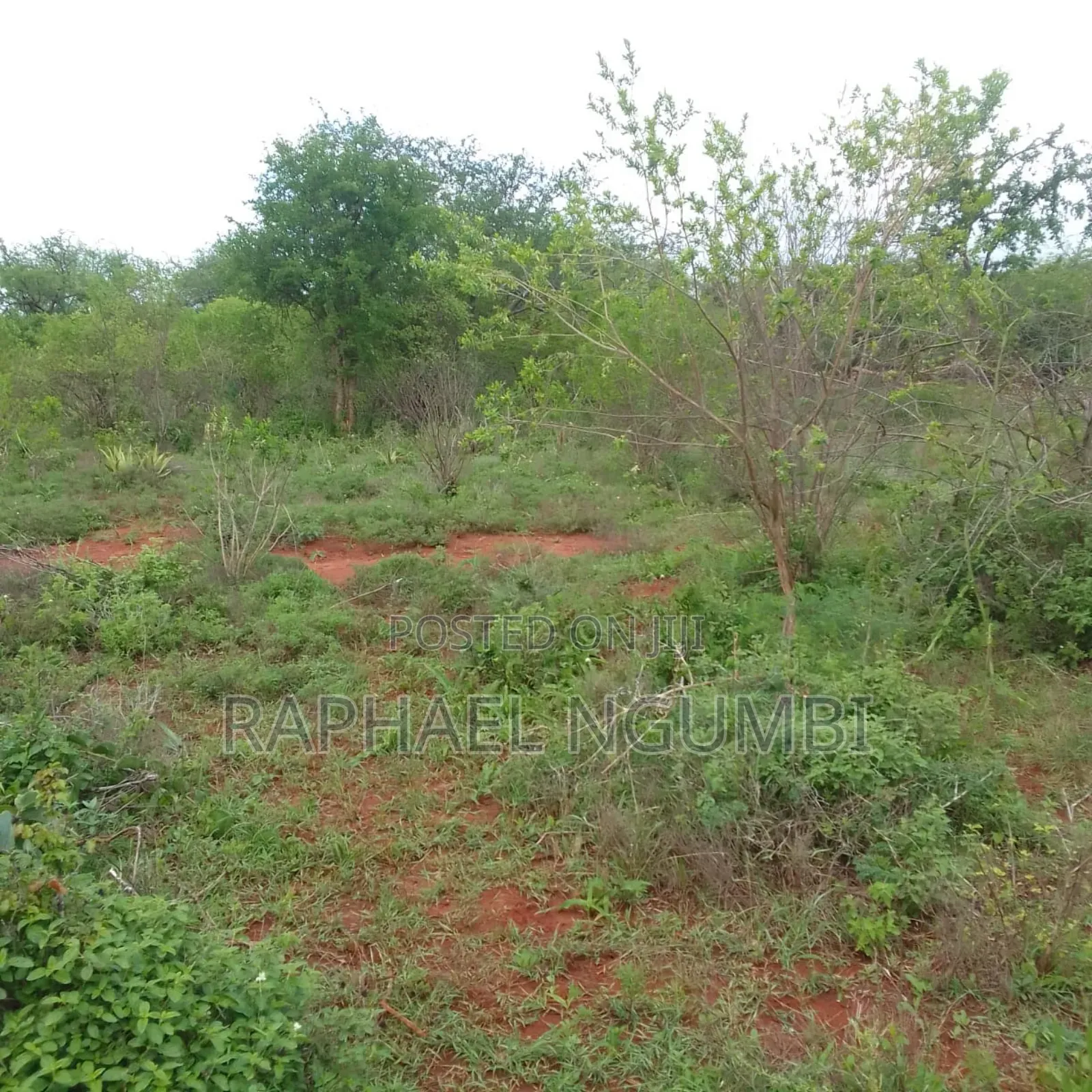 Machakos Mua 2 Acres Near Sonko Farm