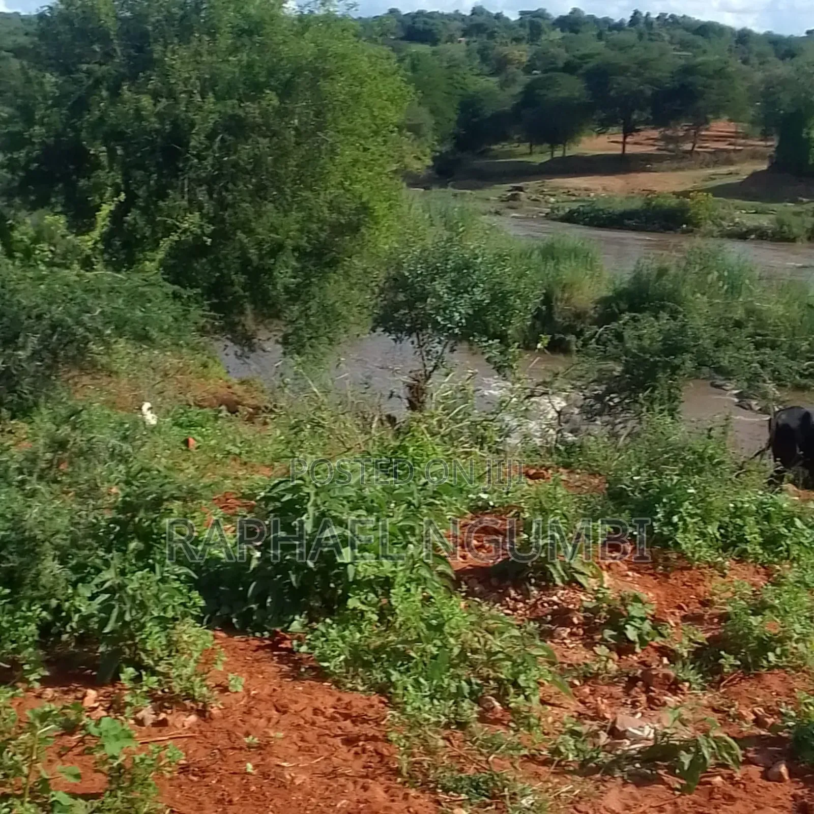 5 Acres at Thika River at Ekalakala