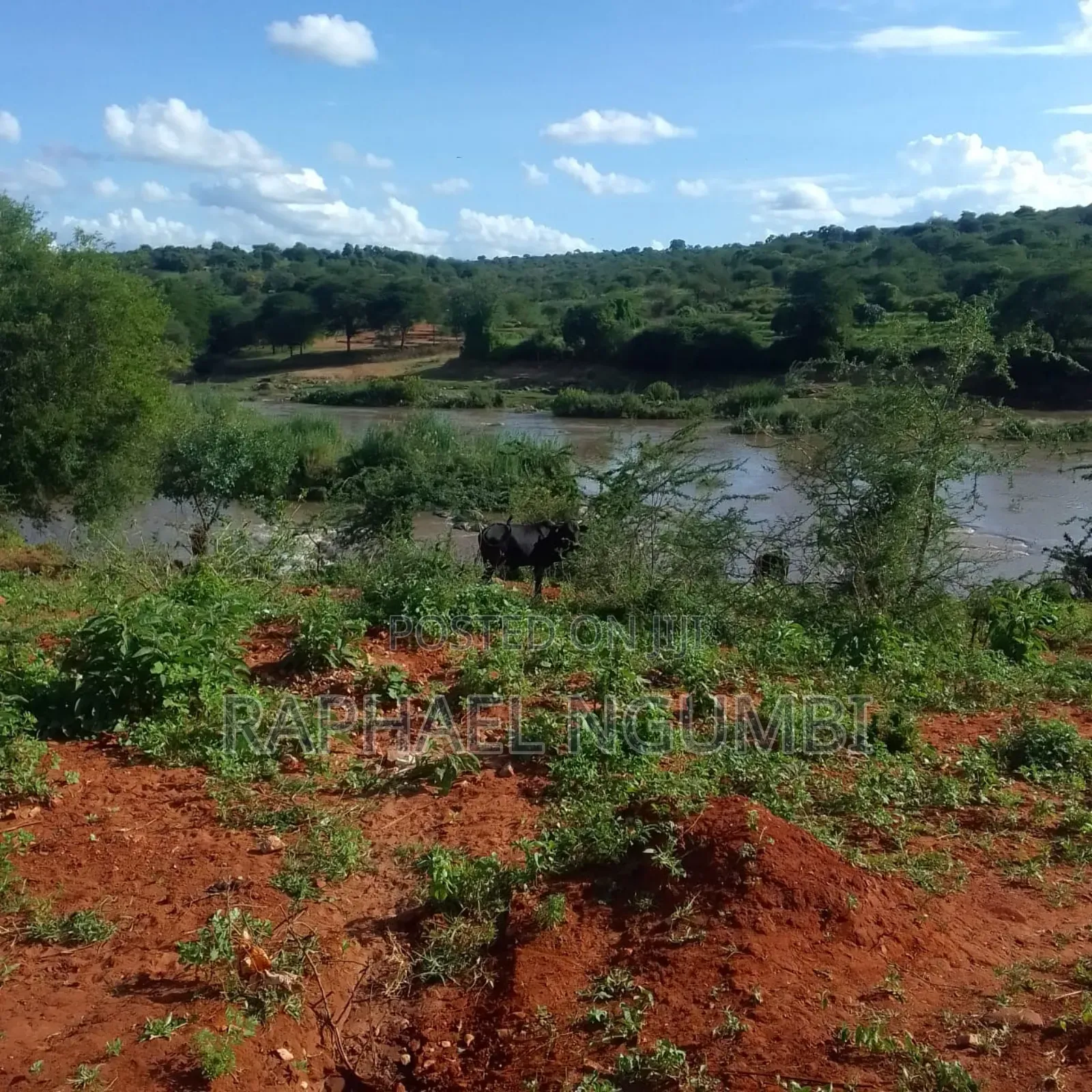 5 Acres at Thika River at Ekalakala