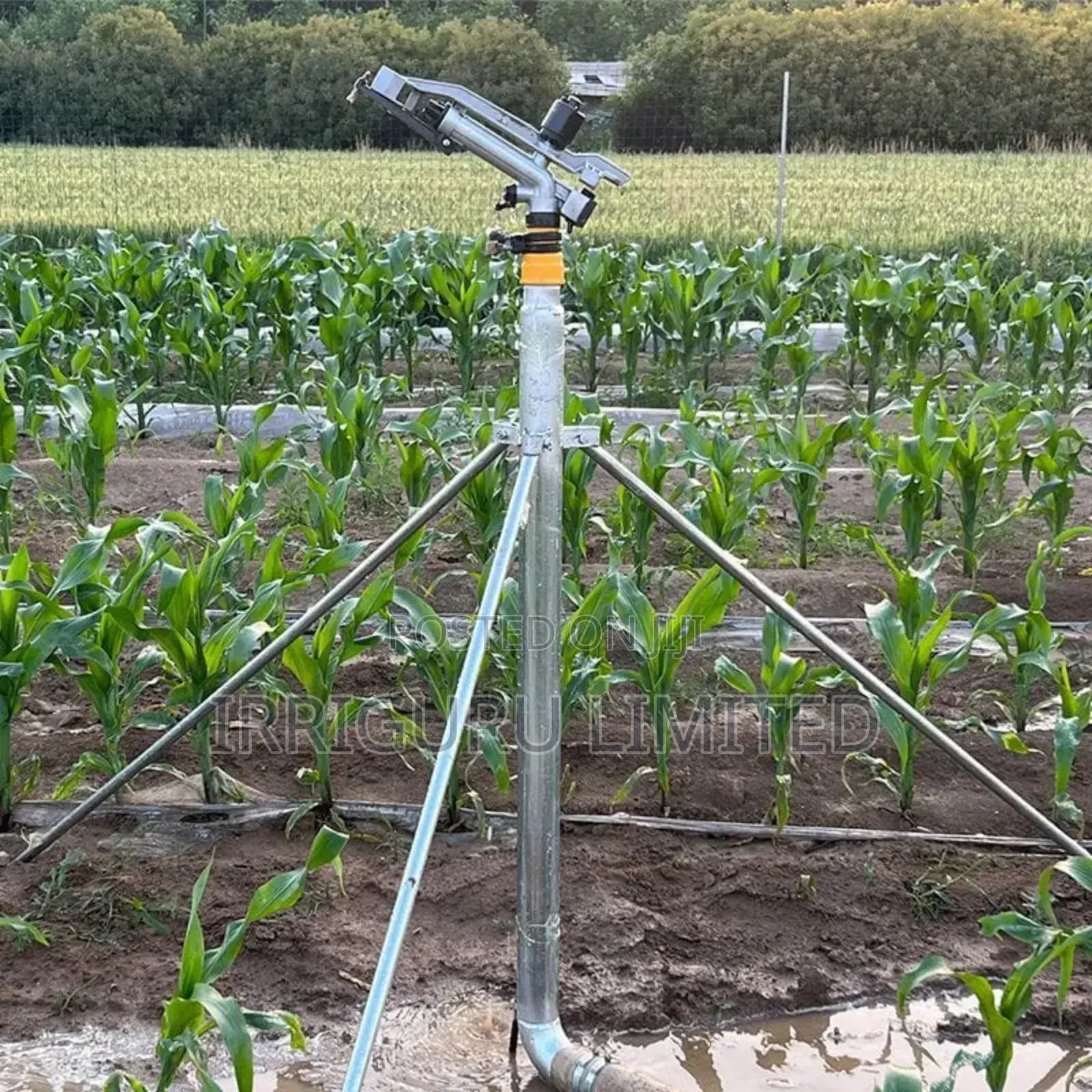 Py Rainguns With Stand