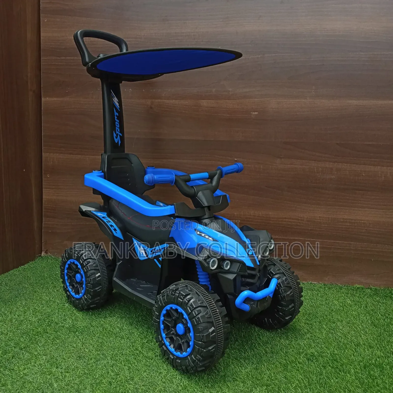 Push Handle Ride-on Car, With Sun Canopy