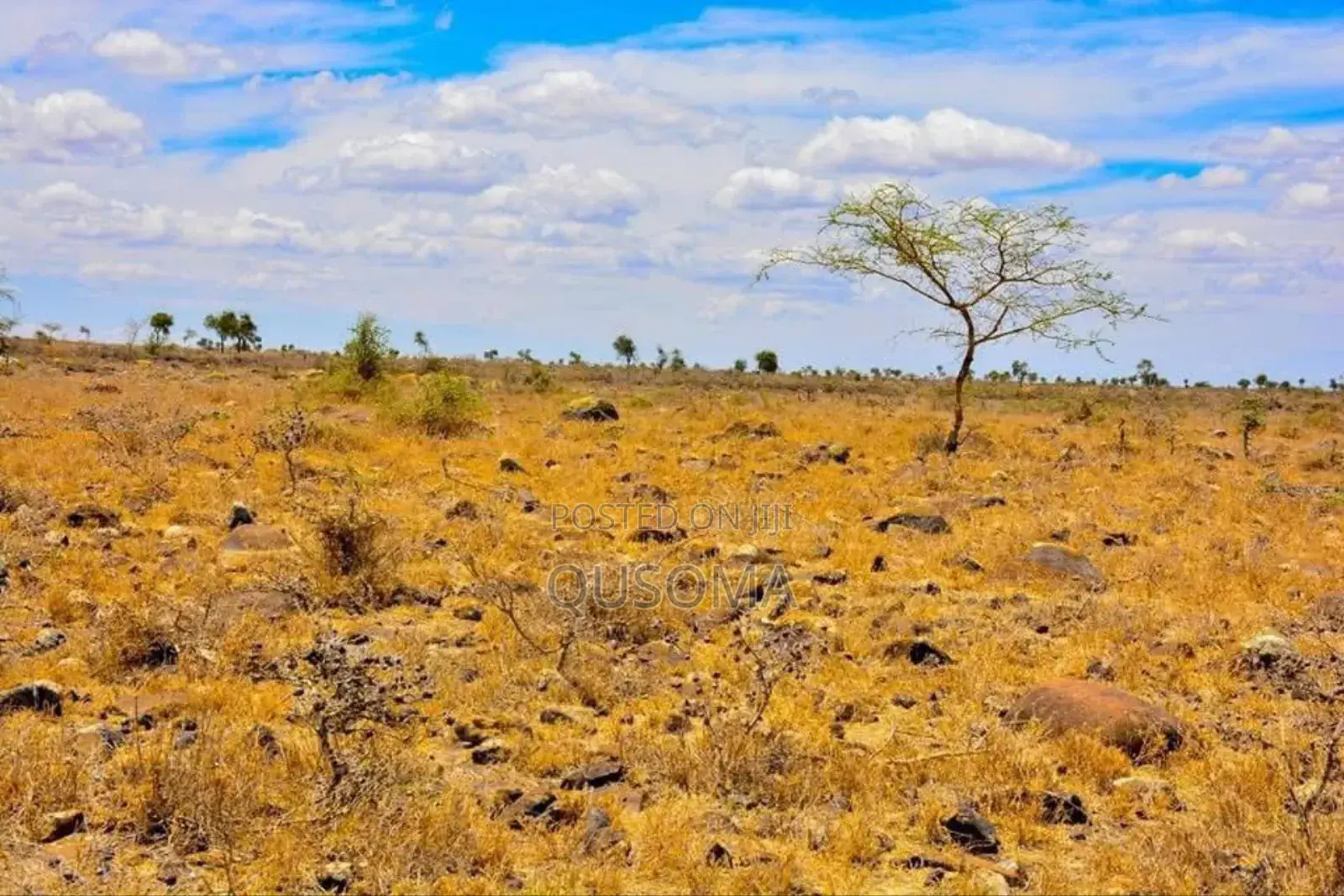 Goldmine at Kajiado Esokota, Next to Kajiado Level 5 Hospital, Gift It