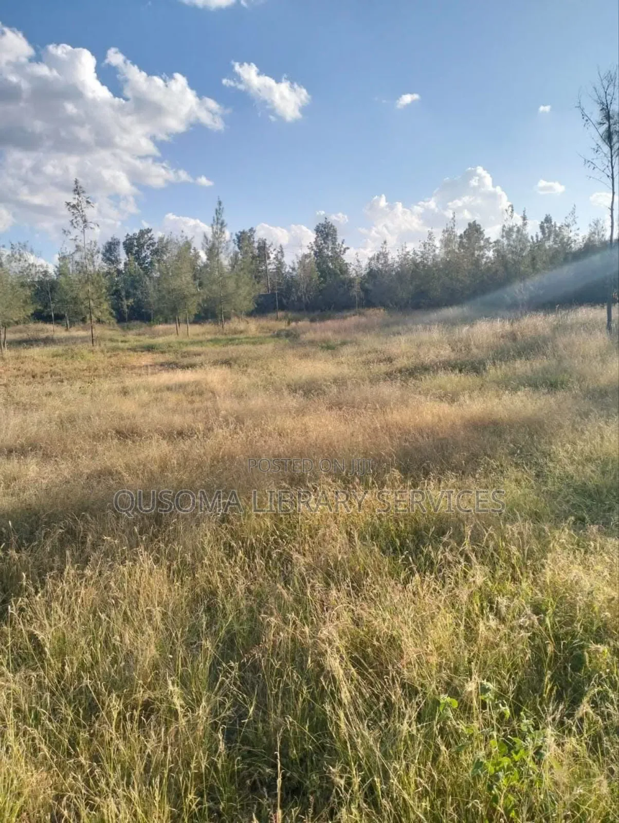 1 Acre Prime Investment Land – Kitengela New Valley