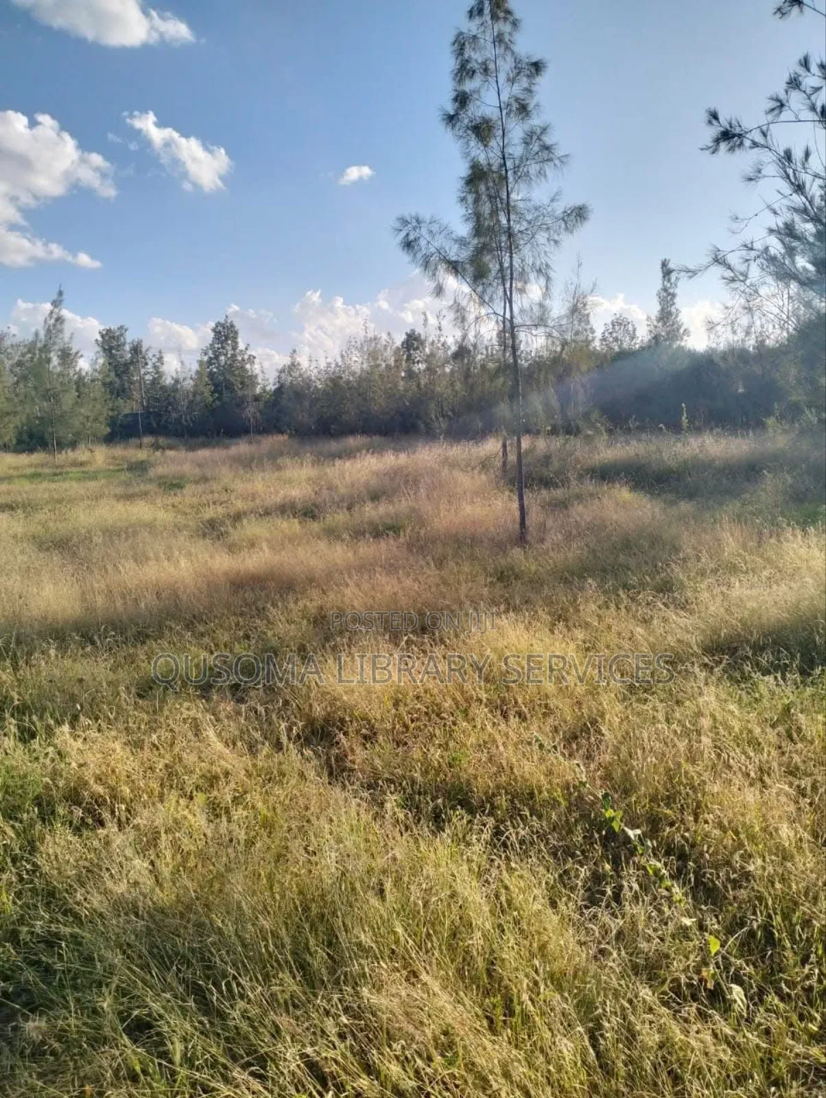 1 Acre Prime Investment Land – Kitengela New Valley