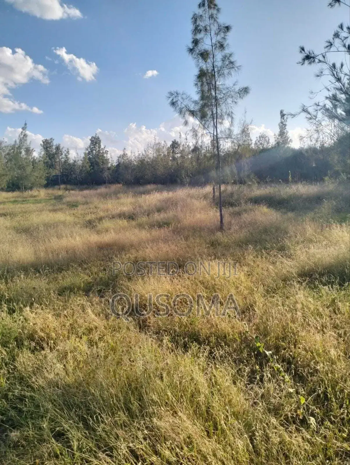 1 Acre Prime Investment Land – Kitengela New Valley