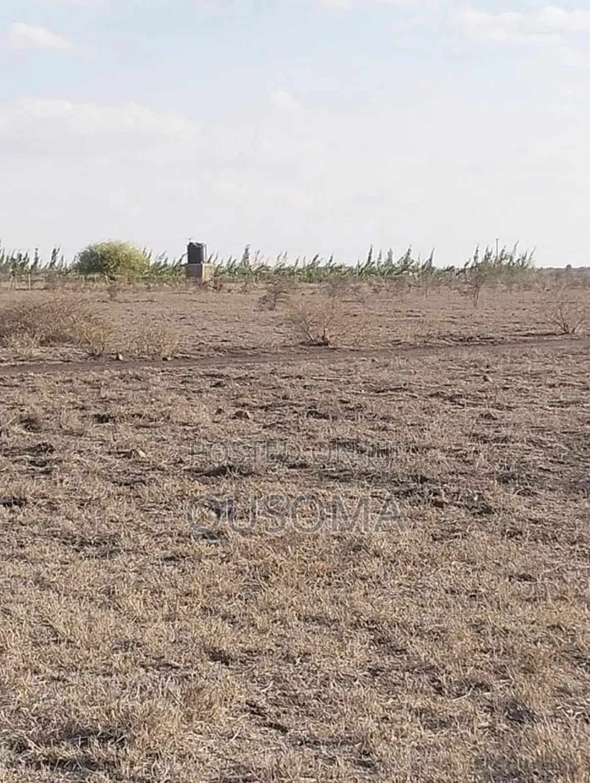 Distress Cash Sale – 5, 10 Acres With Epic Views Tuala Kyumvi-Rongai