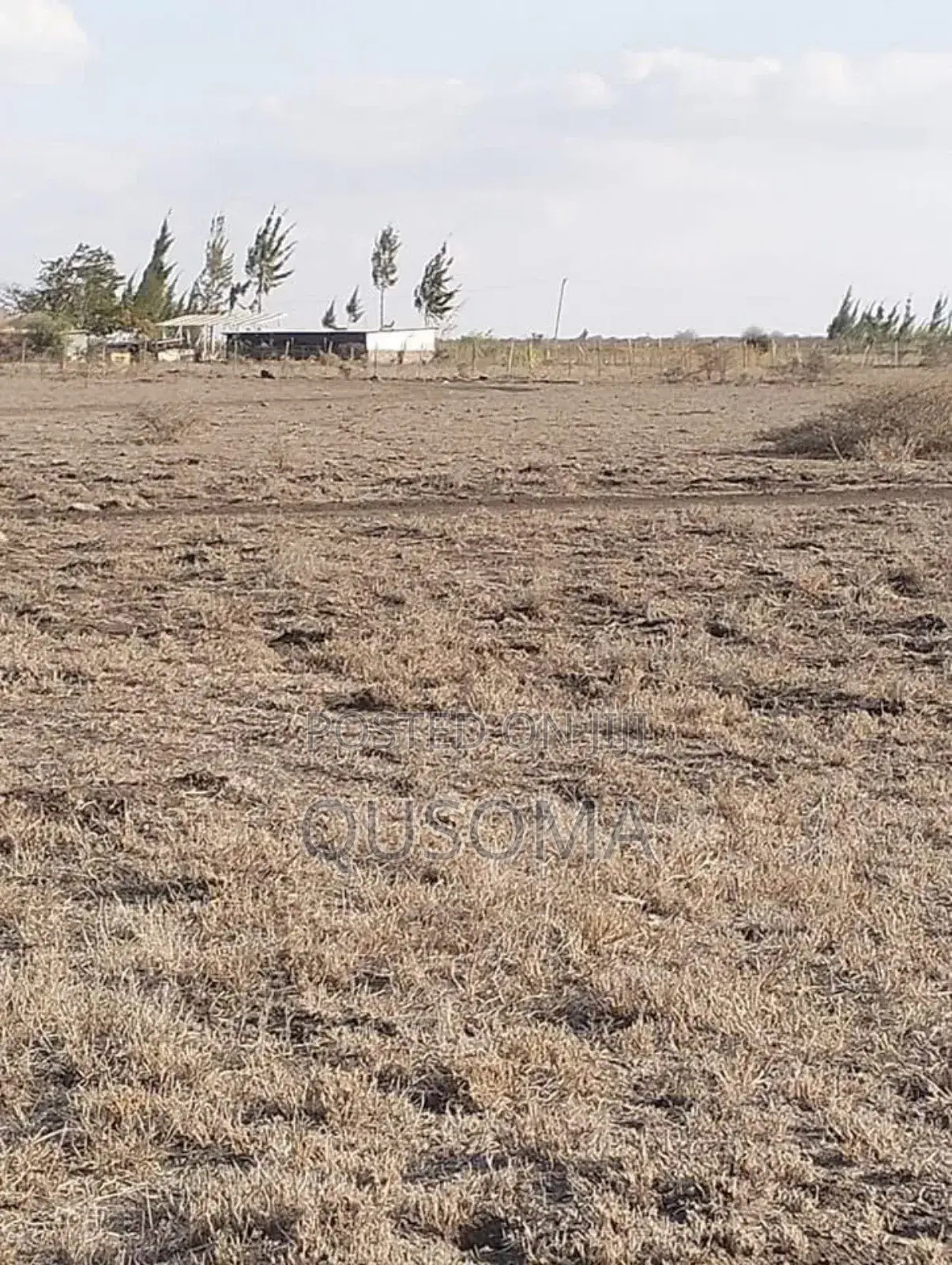 Distress Cash Sale – 5, 10 Acres With Epic Views Tuala Kyumvi-Rongai