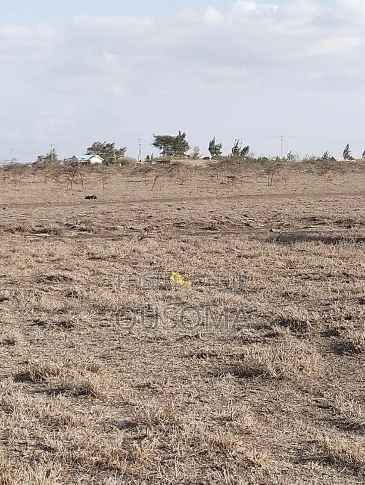 Distress Cash Sale – 5, 10 Acres With Epic Views Tuala Kyumvi-Rongai