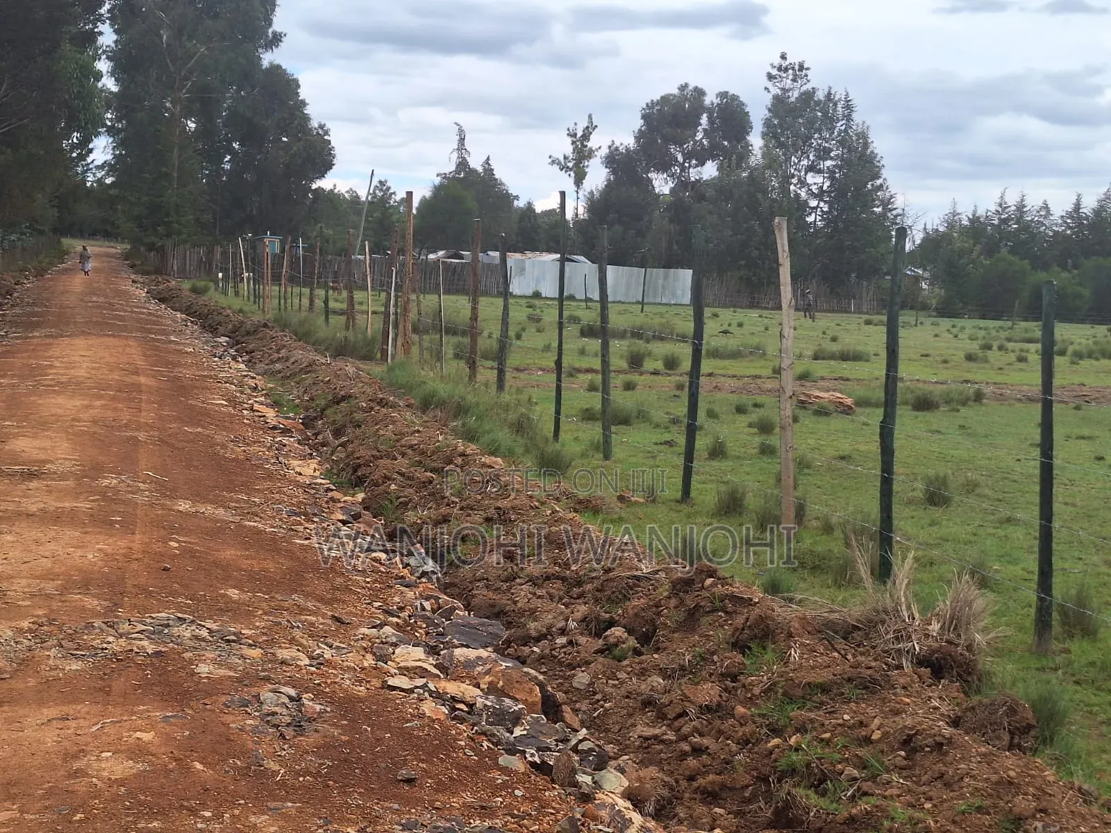Leshau, Nyahururu Prime Plots