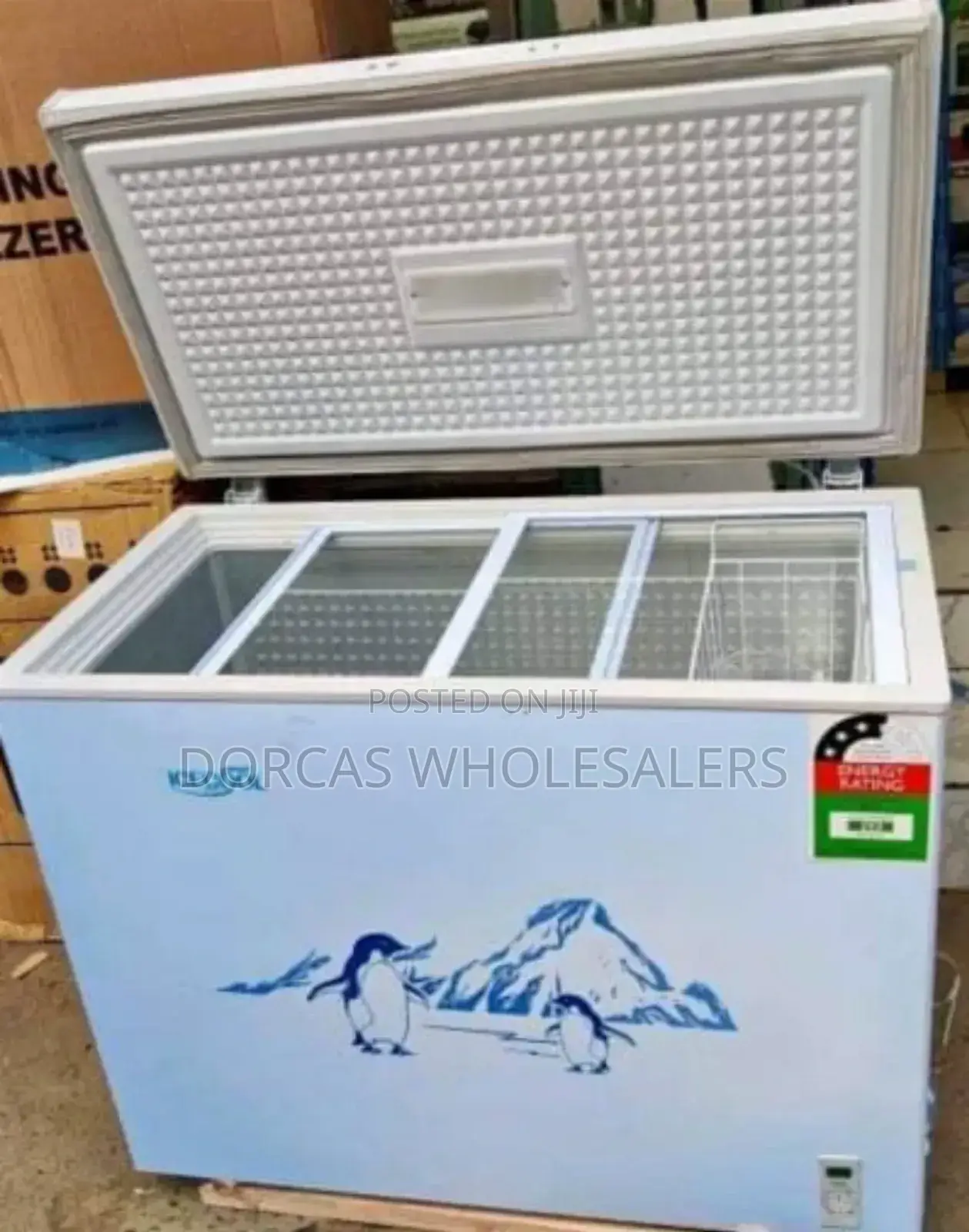 Ecomax Deep Chest Freezer 219lt