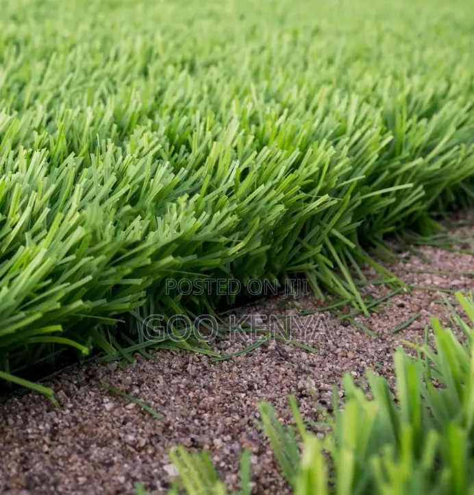 Home Carpet;Multi-Size Outdoor and Indoor Artificial Turf for Football