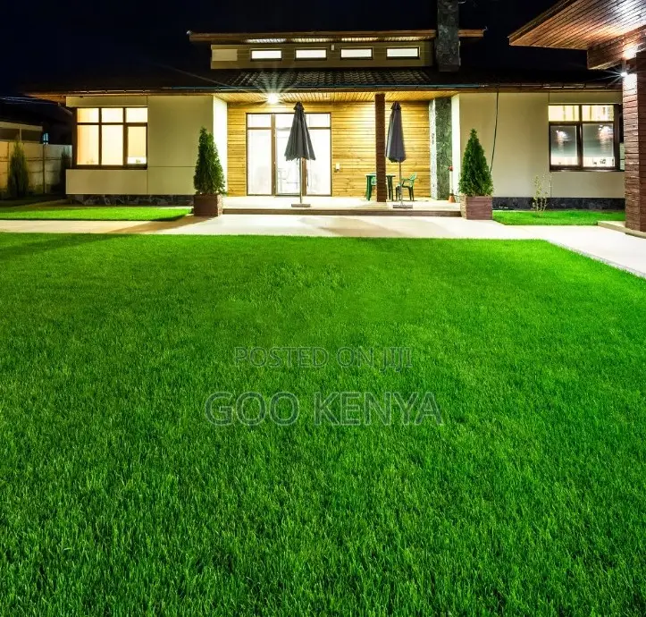 Home Carpet; Football Field Artificial Turf in Green for Outdoor