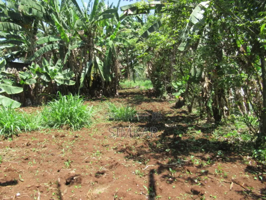 0.25-Acre Plot for Sale in Ruaka - Gacharage Junction Area
