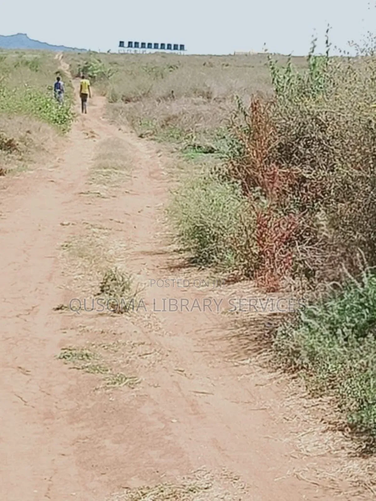 1/4 Acre Gem– Ngatataek
 • Fertile Red Soil • Only 3 Plots Left!