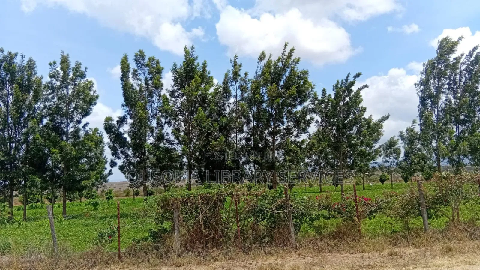 3-Acre Goldmine in Kinanie Kwamboo Area – Kshs. 2.1m Per Acre Only!