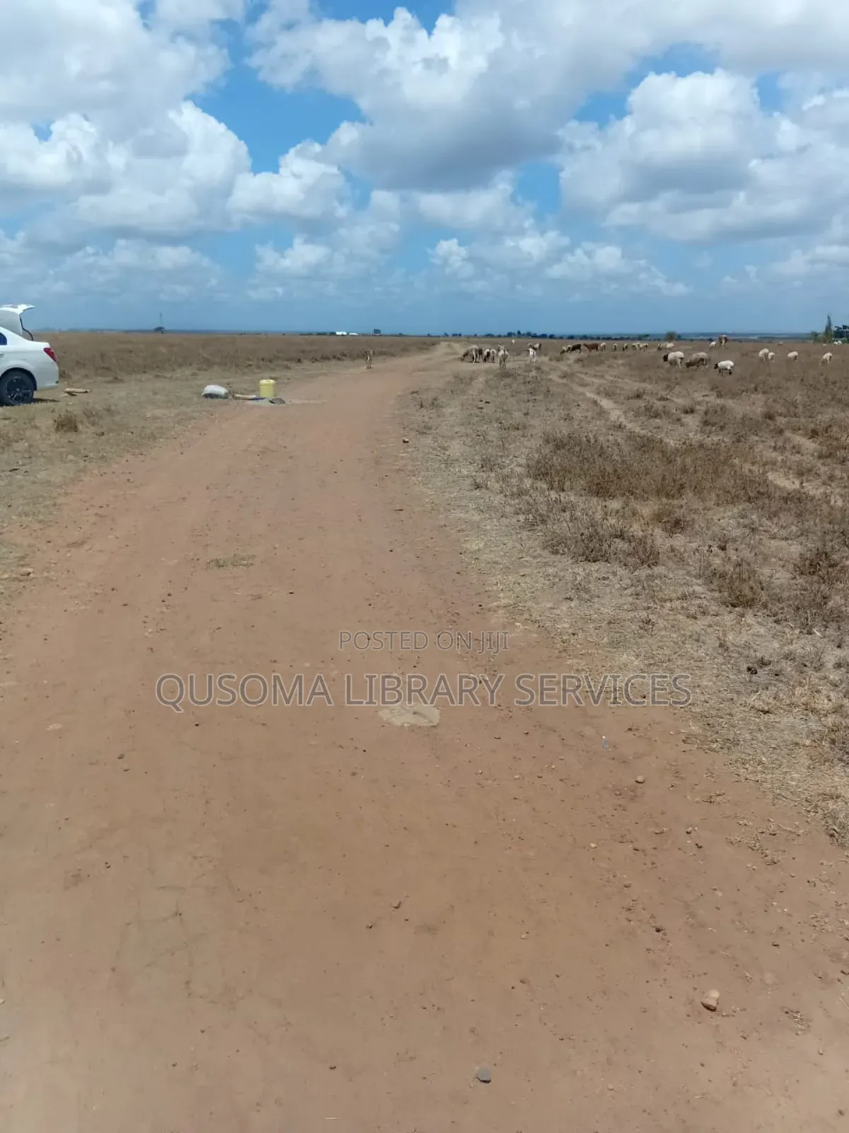 3-Acre Goldmine in Kinanie Kwamboo Area – Kshs. 2.1m Per Acre Only!
