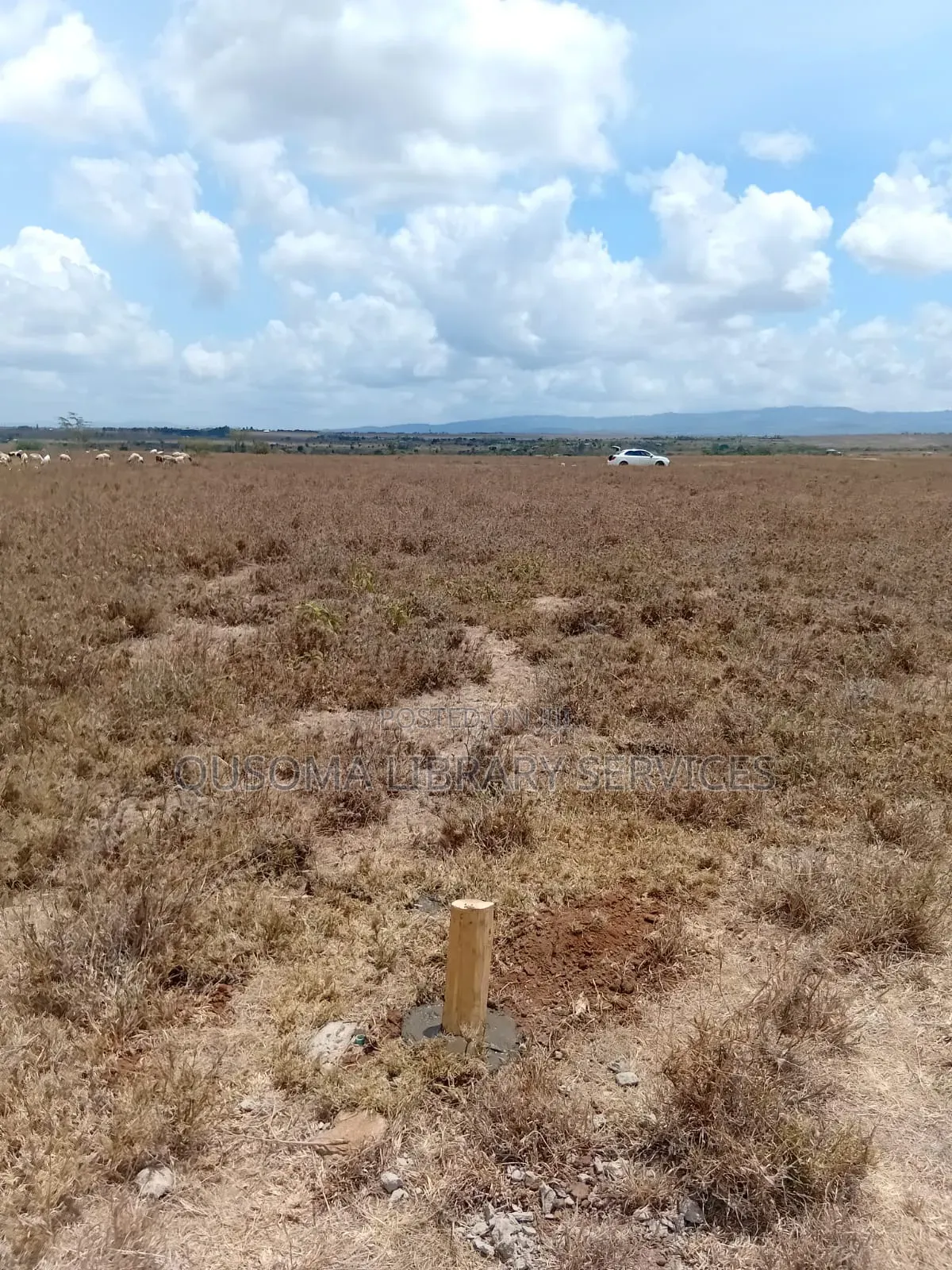 3-Acre Goldmine in Kinanie Kwamboo Area – Kshs. 2.1m Per Acre Only!
