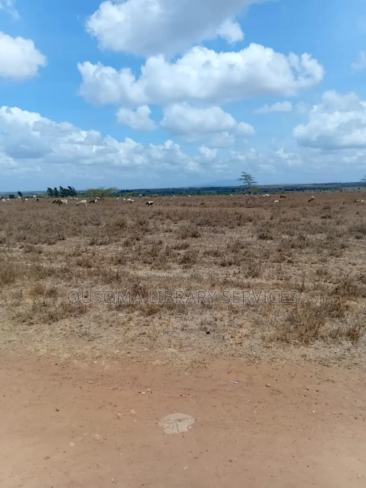 3-Acre Goldmine in Kinanie Kwamboo Area – Kshs. 2.1m Per Acre Only!