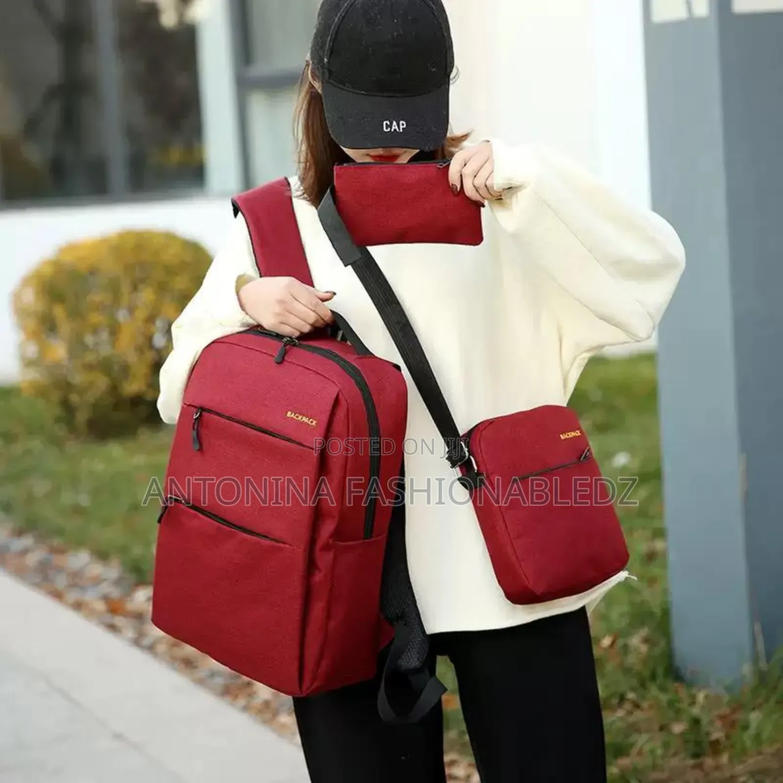 Laptop /Travel/School Bag