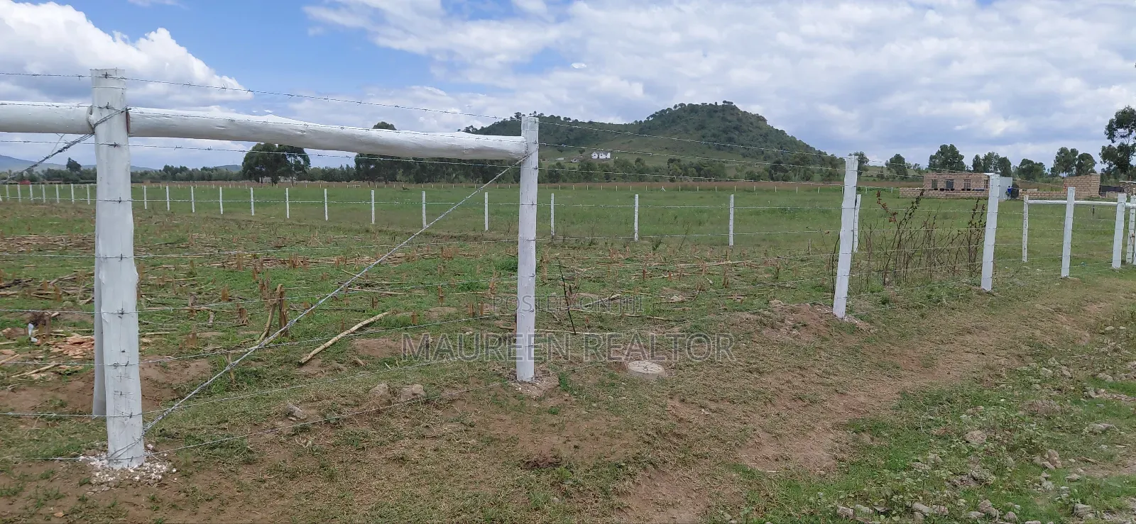 Prime 50x100 Plots Naivasha