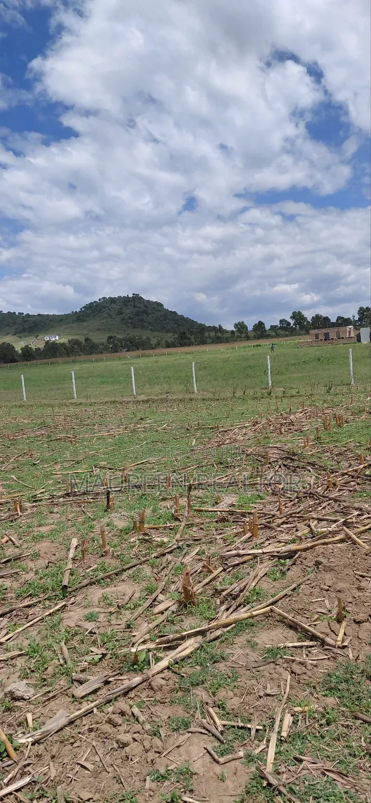 Prime 50x100 Plots Naivasha