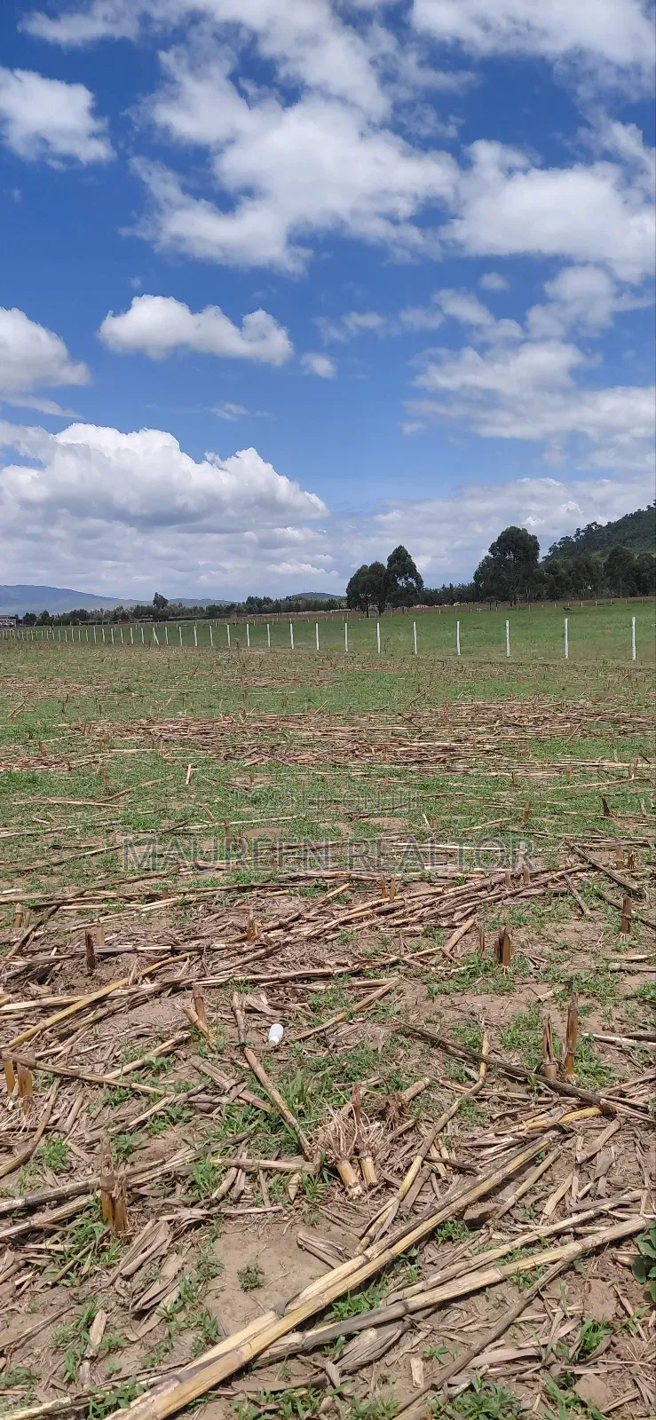 Prime 50x100 Plots Naivasha