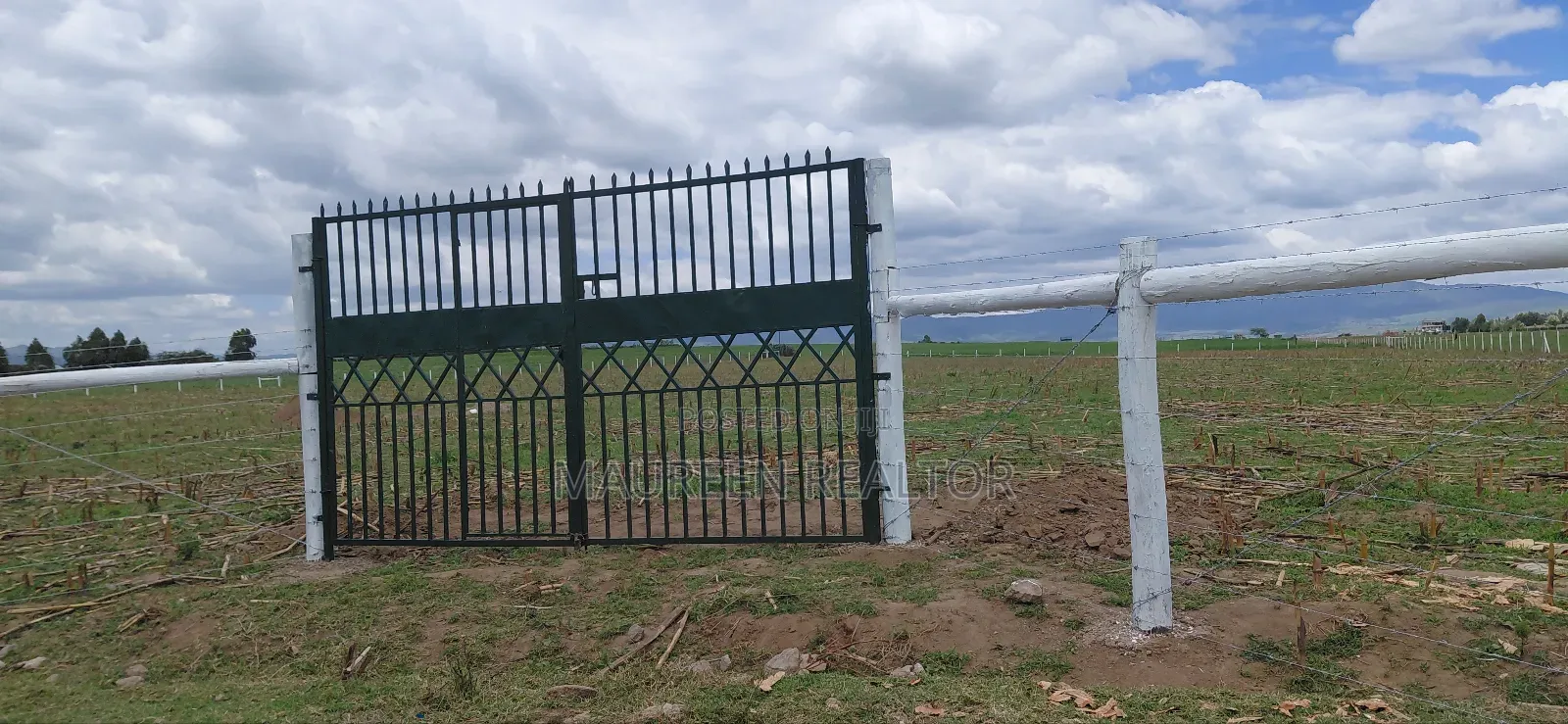 Prime 50x100 Plots Naivasha