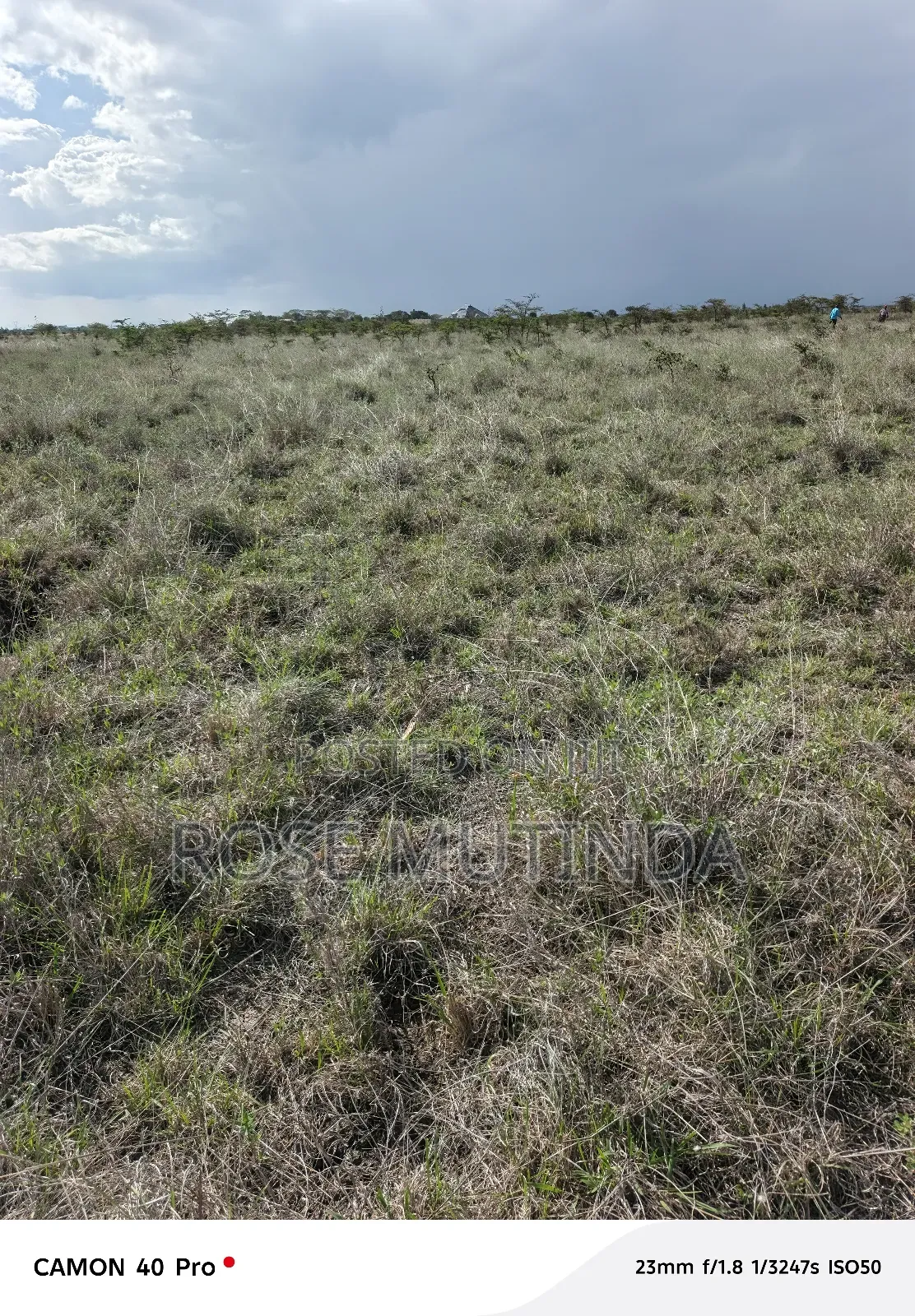 4acres at Misuuni