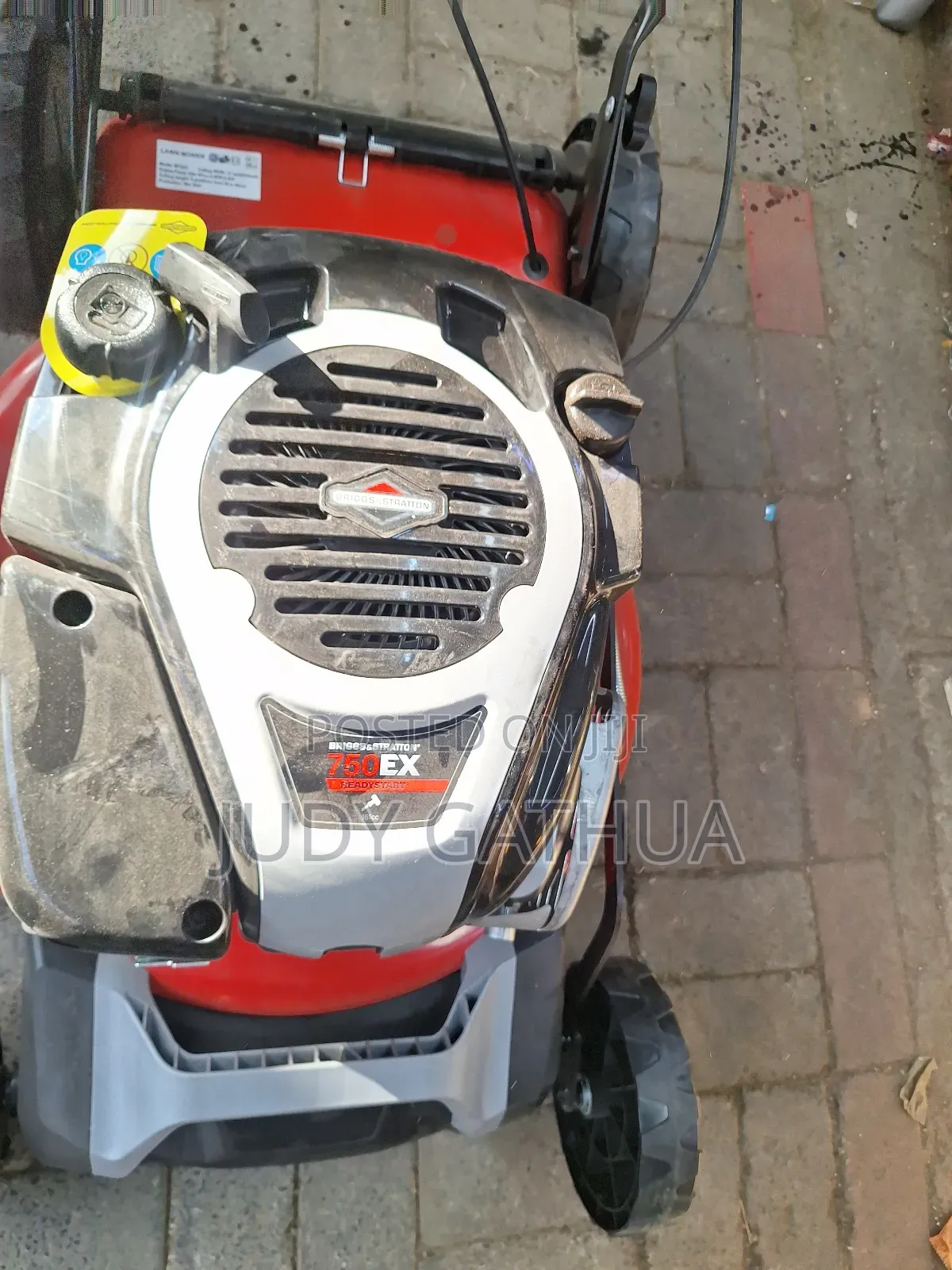 Stallion and Briggs Lawn Mower 21"